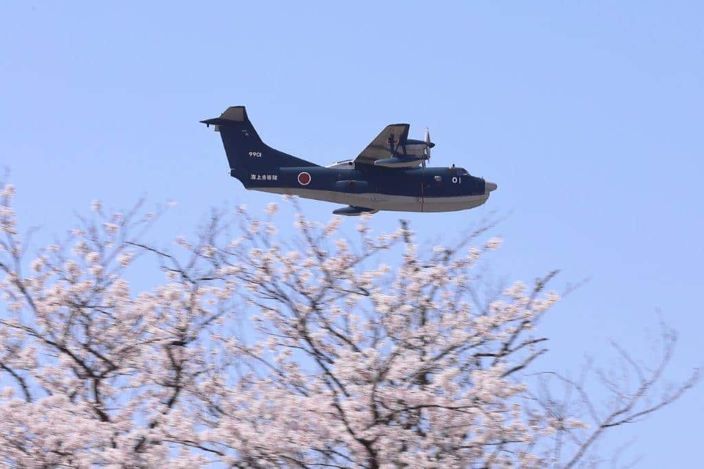 海上自衛隊さんのインスタグラム写真 - (海上自衛隊Instagram)「桜の波の上を🌸  #ファインダー越しの世界  #US2  #桜」4月5日 11時30分 - jmsdf_pr