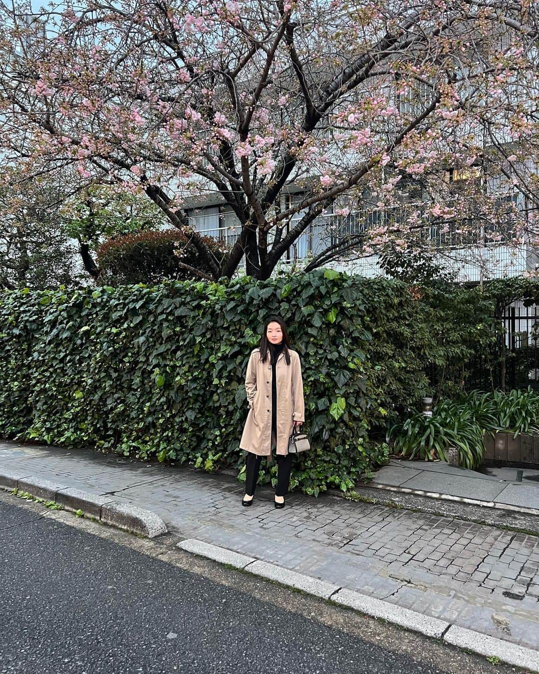 マイア・シブタニさんのインスタグラム写真 - (マイア・シブタニInstagram)「東京で桜を見ることができて、本当によかったです。🌸  私は日本語を勉強しています。私の文章に間違いがあったら、訂正してください！  It was really nice to be able to see cherry blossoms in Tokyo. 🌸  Also, I’m studying Japanese. (75 day streak on @duolingo!) If there are any mistakes with my writing, please correct me.」4月5日 11時44分 - maiashibutani