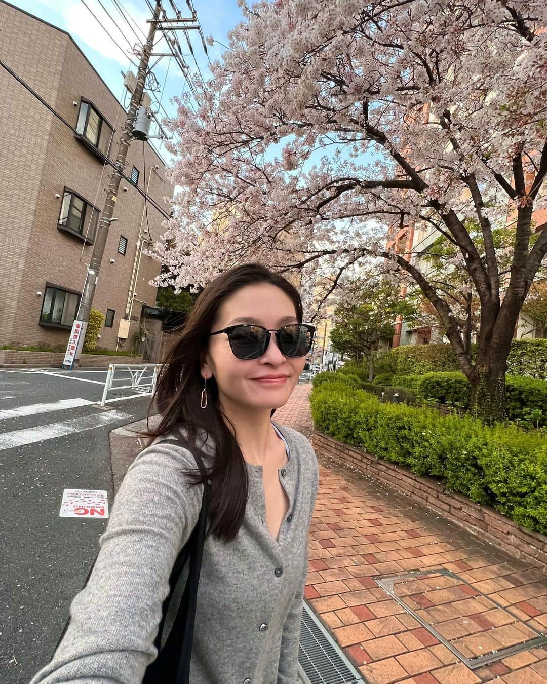 マイア・シブタニのインスタグラム：「東京で桜を見ることができて、本当によかったです。🌸  私は日本語を勉強しています。私の文章に間違いがあったら、訂正してください！  It was really nice to be able to see cherry blossoms in Tokyo. 🌸  Also, I’m studying Japanese. (75 day streak on @duolingo!) If there are any mistakes with my writing, please correct me.」