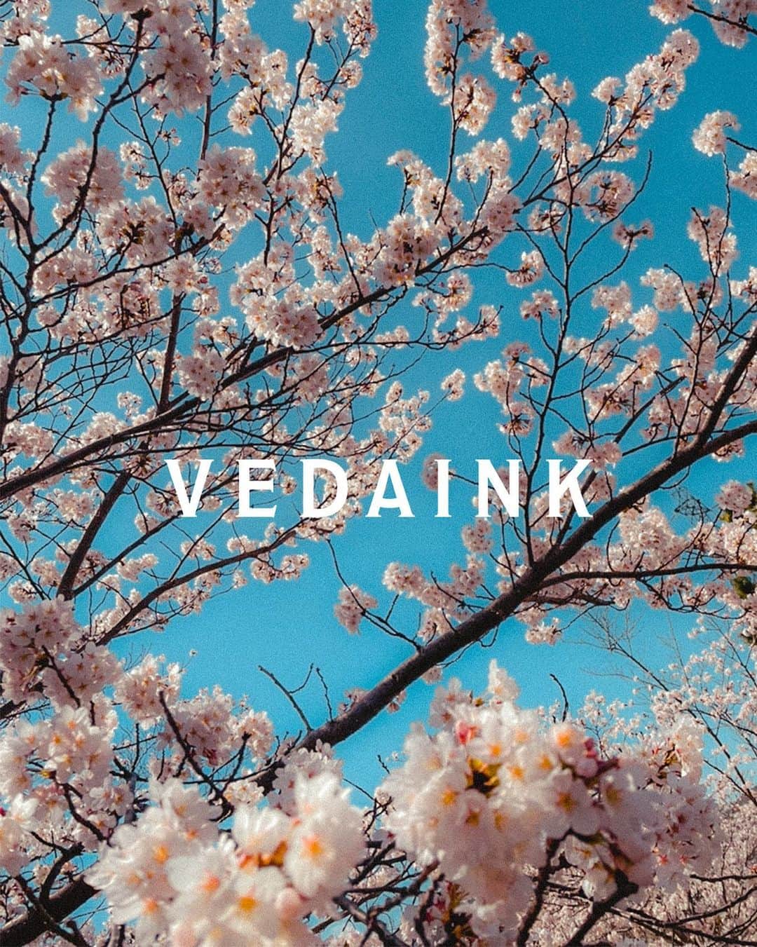 VEDAINK （ヴェーダインク）のインスタグラム：「みなさま、お花見はもうされましたか？ 　　　　　 桜の見ごろもそろそろ終盤。 花見も今週末までの場所が多そう。  週末の天気は晴れ模様の予想。  せっかくだからお気に入りの服を着て、 春の季節を目いっぱい感じてみよう。  📲詳しくはプロフィールのURLをタップ 衣類のロゴ印刷は @vedainkjp へ  ーーーーーーーーーーーーーーーーー ▼VEDAINK LINE公式アカウント LINE＠友達登録でカンタンお問い合わせ！ ハイライト欄の「注文・相談」をチェック🔍 ーーーーーーーーーーーーーーーーー  #VEDAINK #ヴェーダインク」