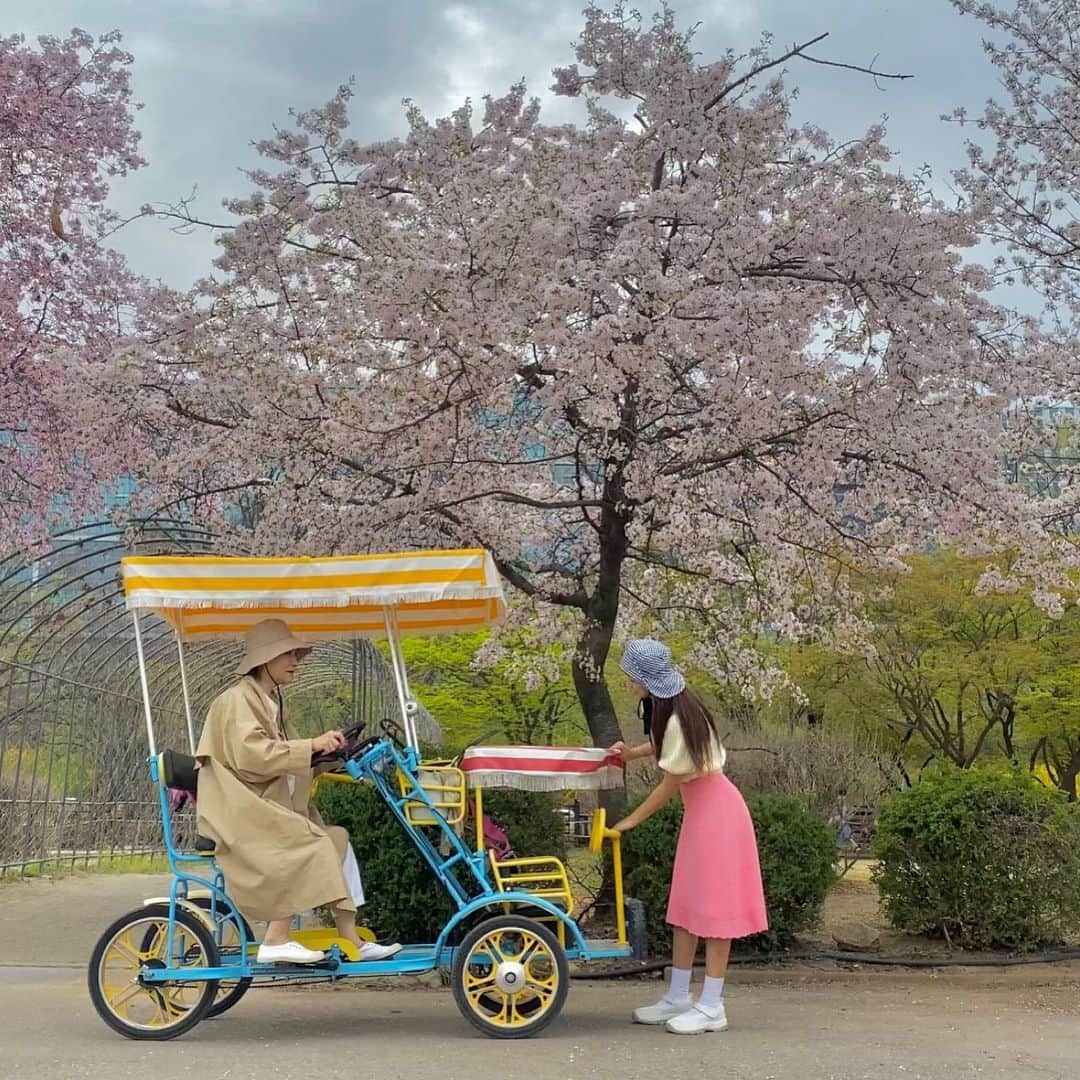 ソリョンのインスタグラム：「우리가족 포걸스 나들이🌷 어제 다녀오길 잘했다✨✨✨」