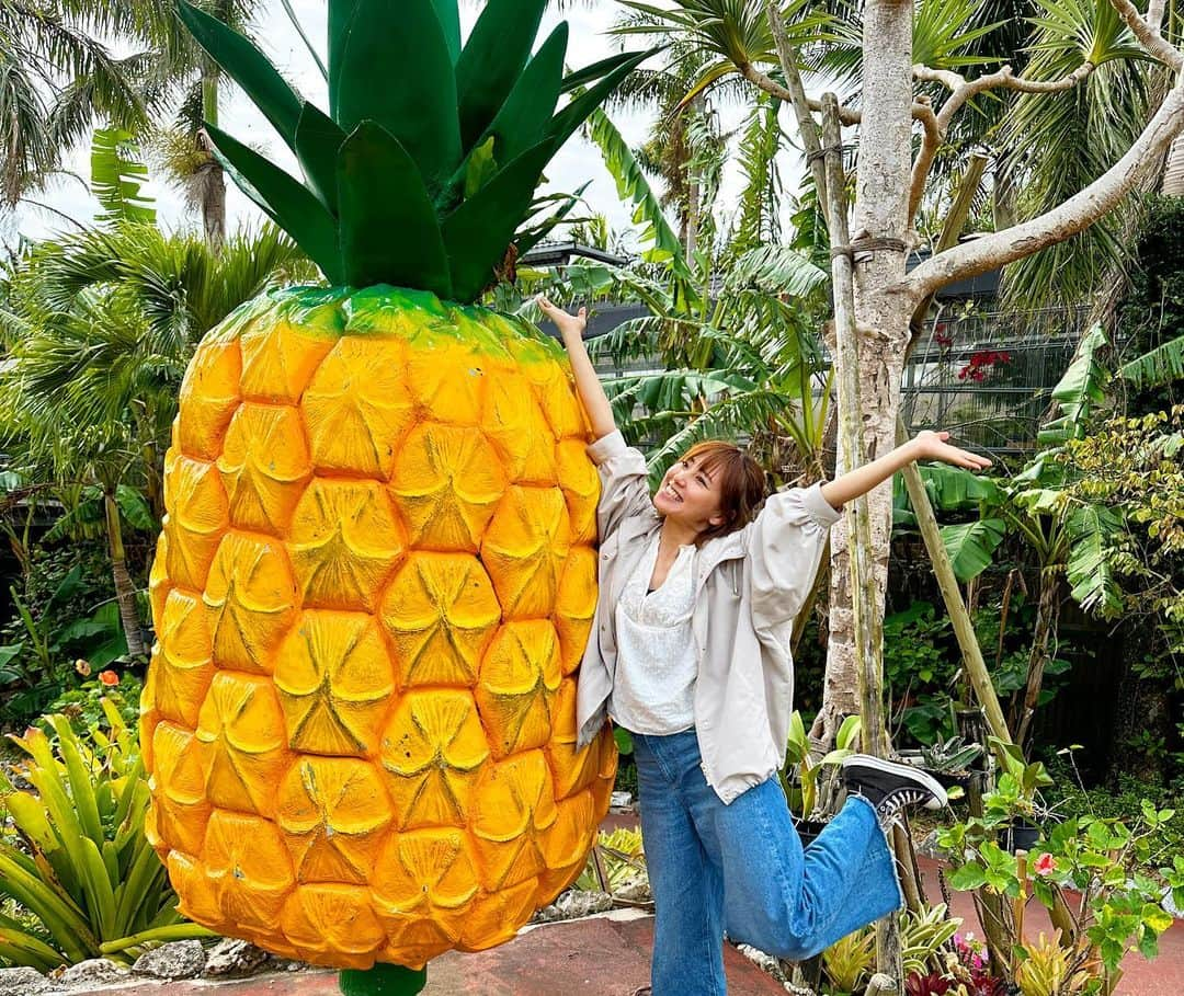 笠原美香さんのインスタグラム写真 - (笠原美香Instagram)「🍍 たのしパイナッポーでした♡ そこらじゅうパイナップルでした！ 施設で流れてる音楽が耳から離れなくなります笑  #名護パイナップルパーク#沖縄旅行#子連れ沖縄」4月5日 12時44分 - mika.k419