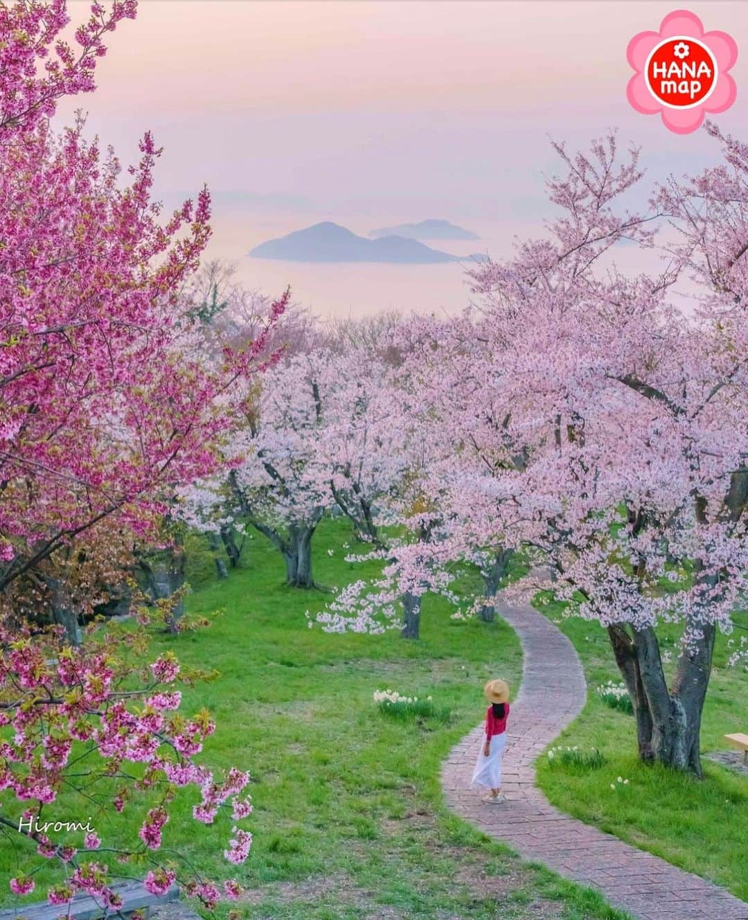 はなまっぷ❁日本の花風景さんのインスタグラム写真 - (はなまっぷ❁日本の花風景Instagram)「🌸はなまっぷの桜まつり🌸 * @hiromitravel さんの 桜に花まるを💮 * 見事に咲き誇る美しい日本の桜をありがとうございます😊🌸 * #香川　#紫雲出山 Shiudeyama. Kagawa Pref. * 🌼桜の花言葉📝🌼 精神の美 * ※見頃が過ぎている名所もご紹介させていただいています。 * 🌸•••🌸•••🌸•••🌸•••🌸•••🌸 * いつも素敵なお花をありがとうございます😊 #はなまっぷ #日本の美しい花風景#花のある風景#花#花言葉#花畑#春#花#桜#サクラ#花見#お花見#お花見スポット#sakura#cherryblossom#cherryblossoms#絶景#ソメイヨシノ#染井吉野#香川#三豊#三豊市#風景#瀬戸内#瀬戸内海 * 🌸••••••お知らせ••••••🌸 * 花風景検索サイト　はなまっぷ https://hanamap.com 🔍「はなまっぷ」または @hanamap プロフィール欄から ぜひご覧ください * 📖🌸📖🌸📖🌸📖🌸📖 四季の花々を訪ねていきたい にっぽんの花地図 好評発売中📘 📖🌸📖🌸📖🌸📖🌸📖」4月5日 12時48分 - hanamap