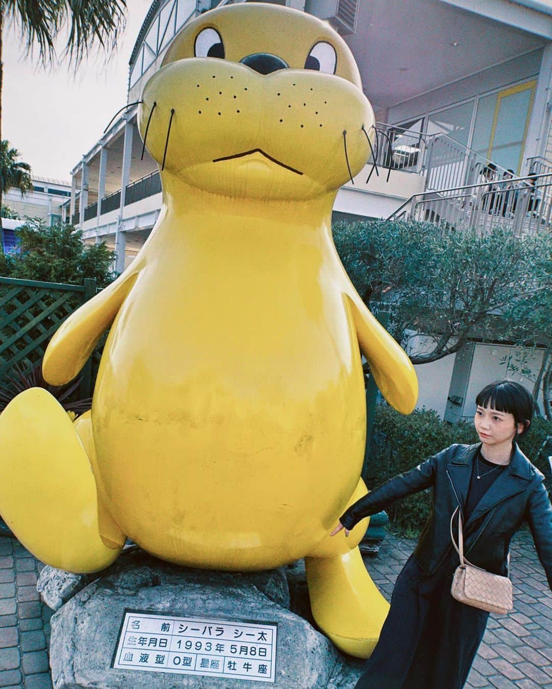 三戸なつめのインスタグラム：「癒された〜🦭 定期的に行きたくなる水族館🐡 4枚目のイソギンチャク、ソファーでゲームしてるわしやがな。 #シーパラダイス  #イルカたちのショー #年々涙腺が弱くなってる  #mito_natsume」