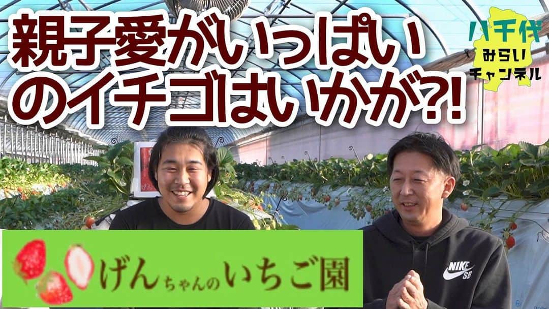 古本新乃輔のインスタグラム：「いやはや、 おかしいなぁ。  親子の良い話に持って行こうとすると、 照れ臭いのか、 ハシゴを外されるんだよなぁ。  でも、 羨ましい親子の○が ギッシリ詰まったいちごの香りを存分にお楽しみ下さい！  #八千代みらいチャンネル #YouTube #八千代市吉橋 #地域活性化 #千葉県 #古本新乃輔 https://youtu.be/gVURtPMdSQY (プロフィール欄のリンクツリーからYouTubeへジャンプしてね！)」