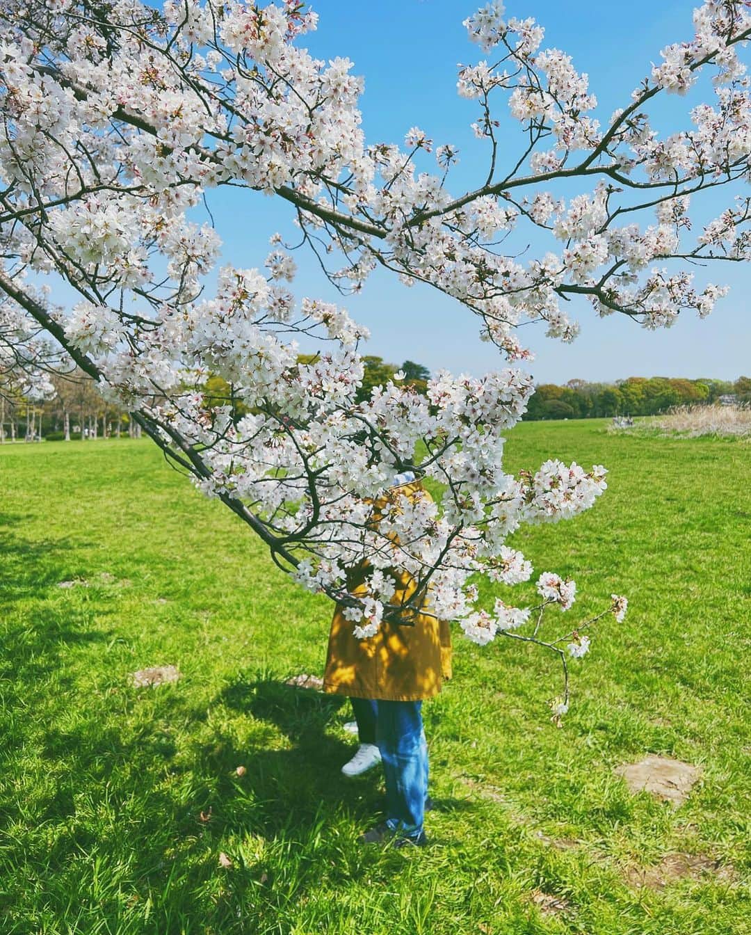 ima_ju / Jun Iのインスタグラム：「: : Peppermint Fresh : : ::」