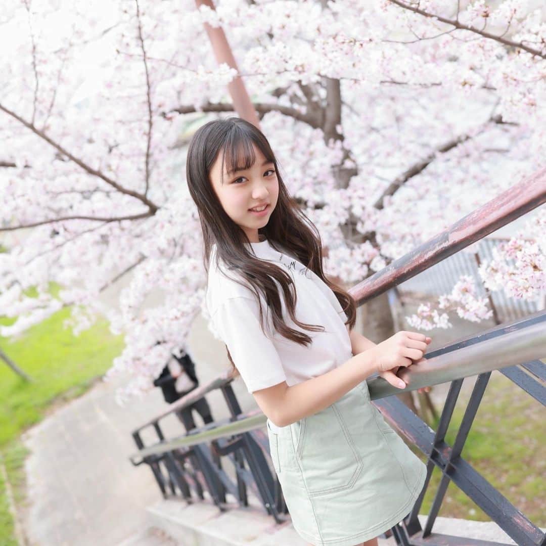 喜島結乃さんのインスタグラム写真 - (喜島結乃Instagram)「♡yuno♡ ㅤㅤㅤㅤㅤㅤㅤㅤㅤㅤㅤㅤㅤ 🌸さくら🌸 とっても綺麗だったよ🥺❤️ ㅤㅤㅤㅤㅤㅤㅤㅤㅤㅤㅤㅤㅤ ㅤㅤㅤㅤㅤㅤㅤㅤㅤㅤㅤㅤㅤ #喜島結乃  #js3 #3年生 #9歳  #キッズモデル #撮影  #女の子 #女の子コーデ  #kidsmodel #桜 #algy」4月5日 7時15分 - yuno_0421