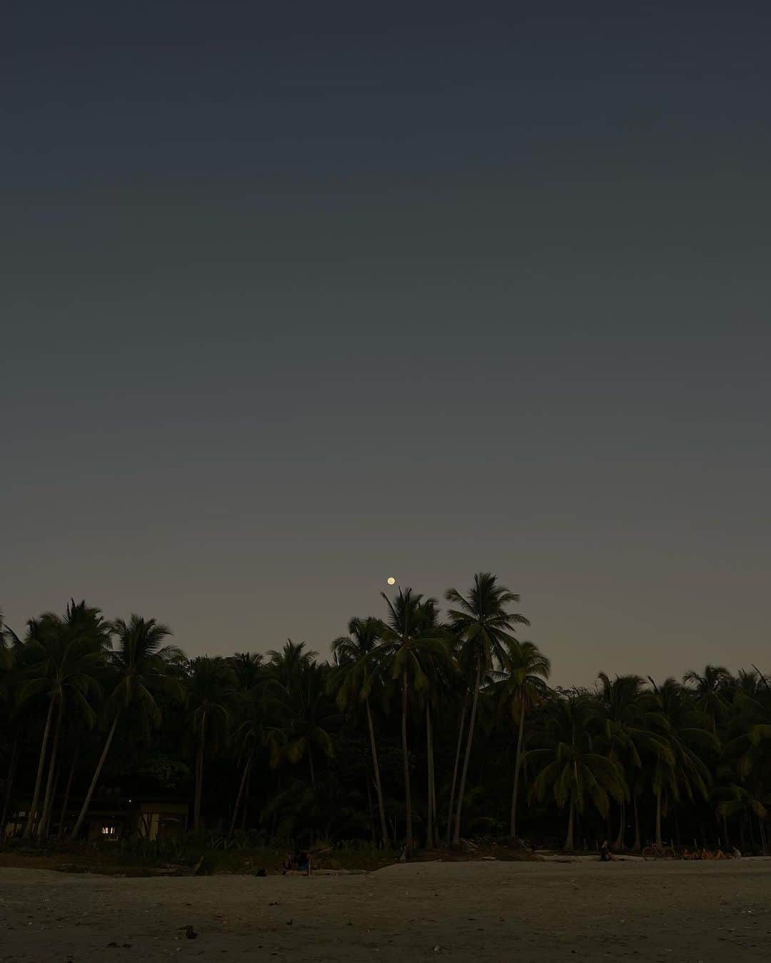 のインスタグラム：「Costa Rica Unposted 🇨🇷✨  1. Luna llena 🌕 desde la playa  2. Yo, antes de quemarme ☀️  3. Tarzan 4. Atardecer en Costa Rica  5. Nunca vamos a llegar con manos vacía. 🍷 Narcisismo justificado 🍷. 6. Pop-Choclo 😃 y primera función de teatro 7. Árbol te quiero 8. Mi primera tabla. Regalo especial 🎁🤍. 9. Primera función de 🐊 Cocodrilo🐊. 10. Mi primer Quad 😎  Costa Rica te extraño.」
