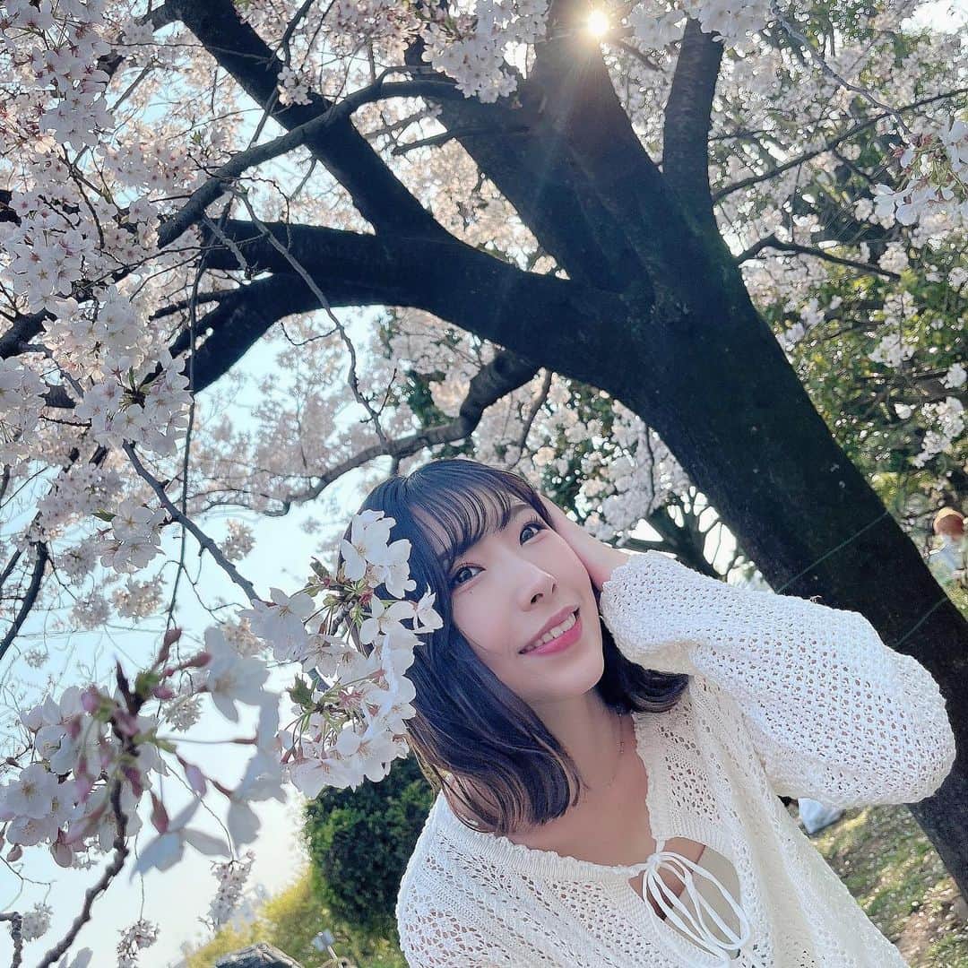 のインスタグラム：「もう関東は桜の時期は終わりですかね🥹　　　　　　　　　　　　　　　 　　　　　　　　　　　　　　　　　　　　　 今月お仕事で山形へ行くので、咲いてるといいな🌸　　　　　　　　　　　 　　　　　　　　　　　　　　　　　　　 今日も皆さんにとって良い一日になりますようにー！　　　　　　　　　 　　　　　　　　　　　　　　　　　　 #桜 #さくら #花 #花見 #お花見 #春 #おはようございます #ジーユー #gm #gu #🌸」