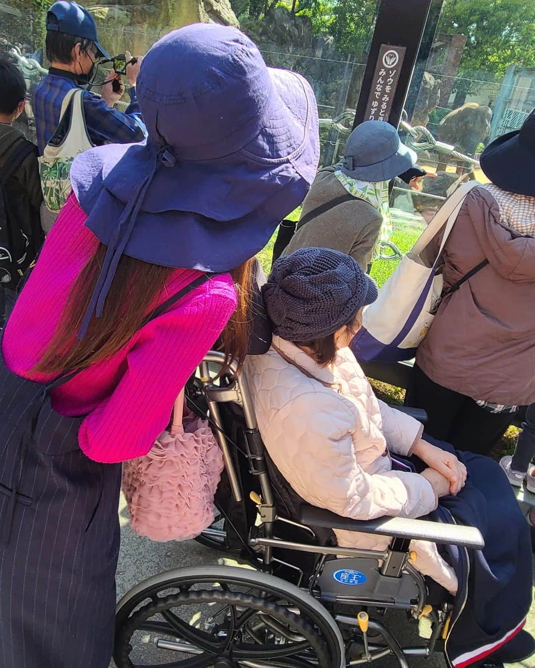 ようこさんのインスタグラム写真 - (ようこInstagram)「昨日は家族で動物園へ🐘 車椅子に慣れてきたのですが坂や斜めの道が多くて疲労困憊しました😅😅 バテて横になりました🤣 体力欲しい😃  動物を見て癒されました🙂  #介護#認知症」4月5日 9時25分 - 0606yoko