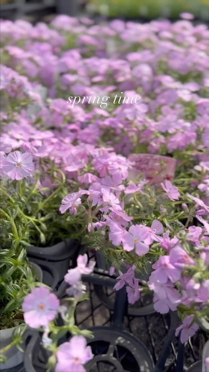 田中幸のインスタグラム：「✳︎春休み . . . 春の春休み🌸  ある1日 🧒ママの付き添い美容院 一輪車もらってご機嫌🤍 🧒スターバックス 初めてのフラペチーノでご機嫌🤍 🧒お花屋さん 薔薇を買ってもらえなくて不機嫌💔 🧒庭造り 春休みは毎日庭師さんのお手伝いしてご機嫌🤍 🧒春の春休み  次のお休みは 計画立ててどこか行こうね😂  ディズニーランド🐭 行きたい盛りの小学一年🤍 . . . #アウトドア#アウトドア女子#家族#家族アウトドア#3姉妹ママ#女の子ママ#Vlog#スノボ#スノーボード . 🙏💇‍♀️ @rad_hair_2019」