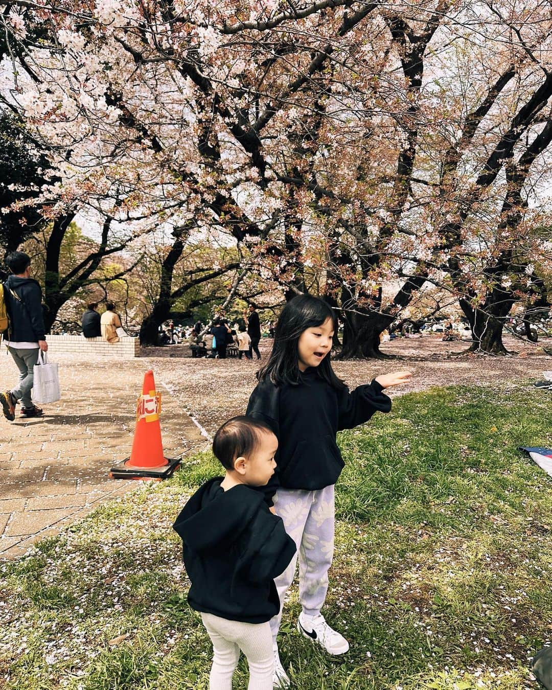 柏木亜季子さんのインスタグラム写真 - (柏木亜季子Instagram)「. 先週末滑り込み桜しました🌸 お花見とか行く友達がいなくて、 寂しいねー。 誘われたり全くないよねー。と言いながら 家族でレジャーシートでマック食べました。 #めっちゃ切ない #来年は行きましょうね」4月5日 9時51分 - a_k_i824