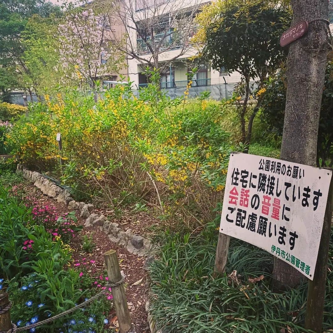 松本隆博のインスタグラム：「。⁡ ⁡愛媛県にはいらない看板だ、⁡ ⁡けどここ関西にはこれいる。⁡ ⁡(笑)…⁡ ⁡⁡ ⁡還暦少年 松本隆博」