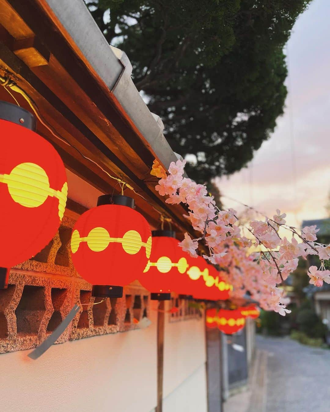 大島央照さんのインスタグラム写真 - (大島央照Instagram)「先日、京都にて撮影の合間に見た景色。  京都は生まれ育った場所ですが、丹後はまともに行ったことがなかった。丹後ブルーの海がとても綺麗でした✨✨  天橋立のリフト往復でお花見、すごくポジティブな気持ちになれた元伊勢の元伊勢籠神社、真名井神社〜、金閣寺近くの喜Shin別邸〜上七軒の若女将のゆうこさん @yuko_umeno のお茶やさん、梅乃の素敵な空間の中で今後のお話を✨  染職人の小林さん @kobayashi_somekoubou のおかげもあり丹後は短い滞在の中でとでも充実した時間を過ごせました。 丹後ブルーの生地を使って和洋ドレスを作られているMANAKA @manaka_japan ゆきこさん @yukikoyamanaka 、きっかけをありがとうございました✨  撮影した写真はまたの日に✨  では、今日も良い1日に、 頑張りましょうー！！  #manaka #梅乃 #京都 #丹後 #喜shin別邸  #上七軒 #元伊勢籠神社  #真内神社 #天橋立 #浄化 #リセット #桜 #🌸」4月5日 9時55分 - chiakioshima