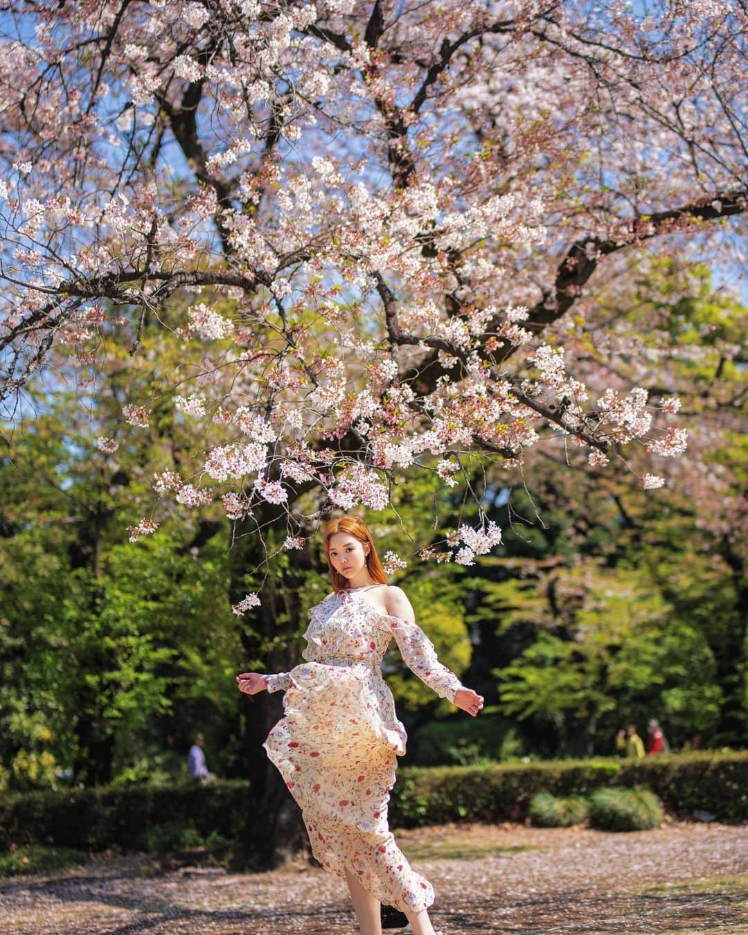YingTzeさんのインスタグラム写真 - (YingTzeInstagram)「Sakura Season 🌸  📸 @prestonles.ig   #sakura #sakuraseason」4月5日 9時58分 - yingtze