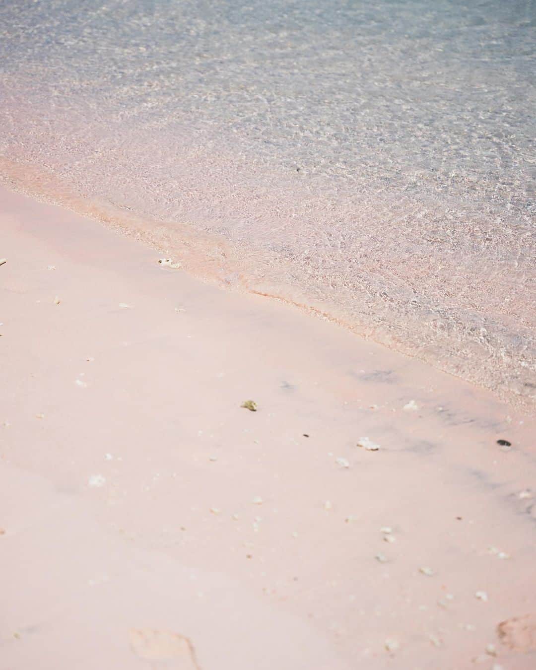 島野ミキさんのインスタグラム写真 - (島野ミキInstagram)「・  ⚑ Komodo National Park / pink beach  AYANA Komodo から Komodo National Parkを巡るツアーで行けるpink beach  念願のピンクビーチは海が透き通っていて ピンクの砂浜が本当可愛いかった💓  komodoに行ったら絶対行くべき！  @ayanahotelsjp @ayanaresort   #ayana #ayanaresort #ayanasegara #バリ島 #バリ島旅行 #バリ島観光 #アヤナリゾート #インドネシア #indonesia #5つ星ホテル #fivestarhotel #コモド #ayanakomodo #komodoisland #コモド島 #ナショナルパーク #nationalpark #pinkbeach#ピンクビーチ#pink#beach」4月5日 10時13分 - miki_shimano