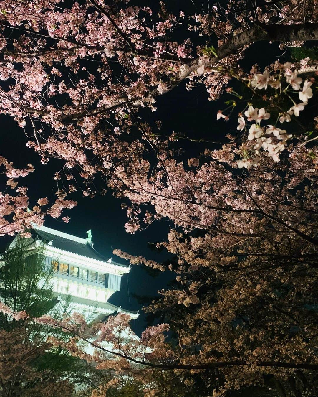 沙月愛奈さんのインスタグラム写真 - (沙月愛奈Instagram)「⁡ ⁡ 先日4/2、小倉で未涼亜希さんのコンサートにゲスト出演させていただきました。 ⁡ 久しぶりの小倉にわくわくしておりました。 滞在できた時間は短かったけれど、その中で小倉城の桜を見たり、美味しいお魚をいただいたり、楽しく過ごせました。 ⁡ コンサートでは懐かしいお顔を見る事ができ、やっとお会い出来たと嬉しかったです☺️✨ ⁡ ゆみさんとは3曲、ソロでは2曲歌わせていただきました。ピアノ伴奏は安定の森さんでしたので身を委ね歌うことができました。ゆみさんは、鬼のようなメドレー😂だったり、ボリュームのある曲のオンパレードで2回のコンサートをされていて凄いなと😳✨どの曲も素敵で、ご一緒する度に好きになる曲が増えるんですよね！ゆみさんとご一緒できる大切な時間はあっという間でしたが、またご一緒できる時までに成長していたいなと思い小倉を後にしました。 ⁡ 北九州でお世話になりました皆さま、本当にありがとうございました🙇‍♀️ TWILIGHTさんのキッシュも美味しかったです！ ⁡  #未涼亜希 さん  #コンサート   #北九州  #小倉  #twilight さん   #森あつこ さん  #沙月愛奈   #小倉城  #夜桜  #桜まつり」4月5日 10時43分 - satsuki_aina_ayumi