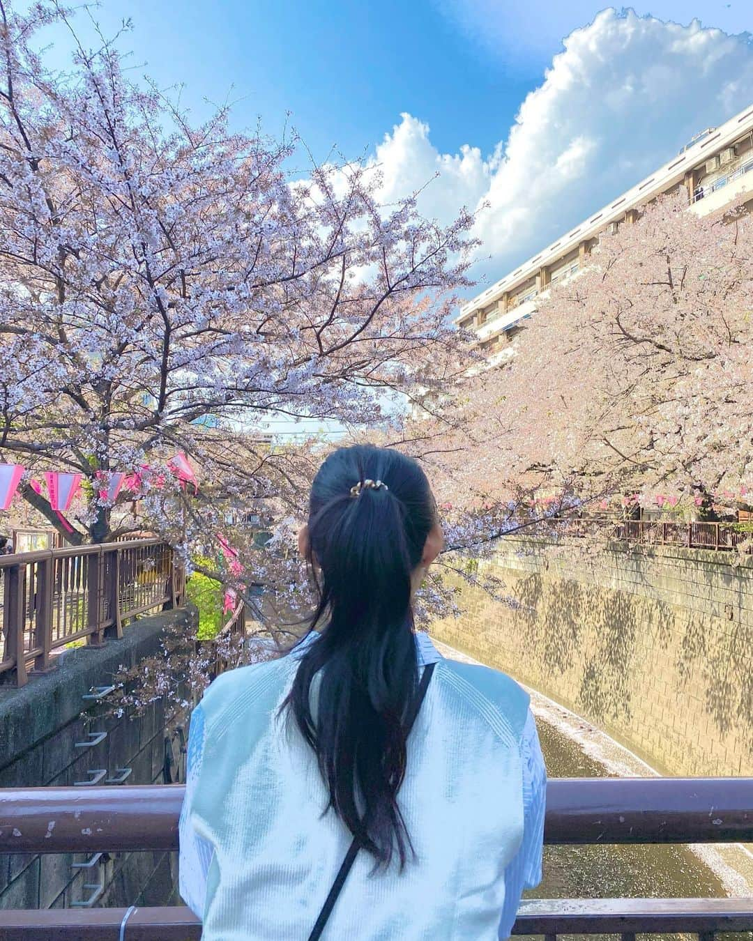 内田有理さんのインスタグラム写真 - (内田有理Instagram)「#sakura #tokyo   終わったね〜 わざわざ見に行くことなかったけど、機会が出来てベストなタイミングで見れて良かった😌」4月5日 10時41分 - yuriuchida1018