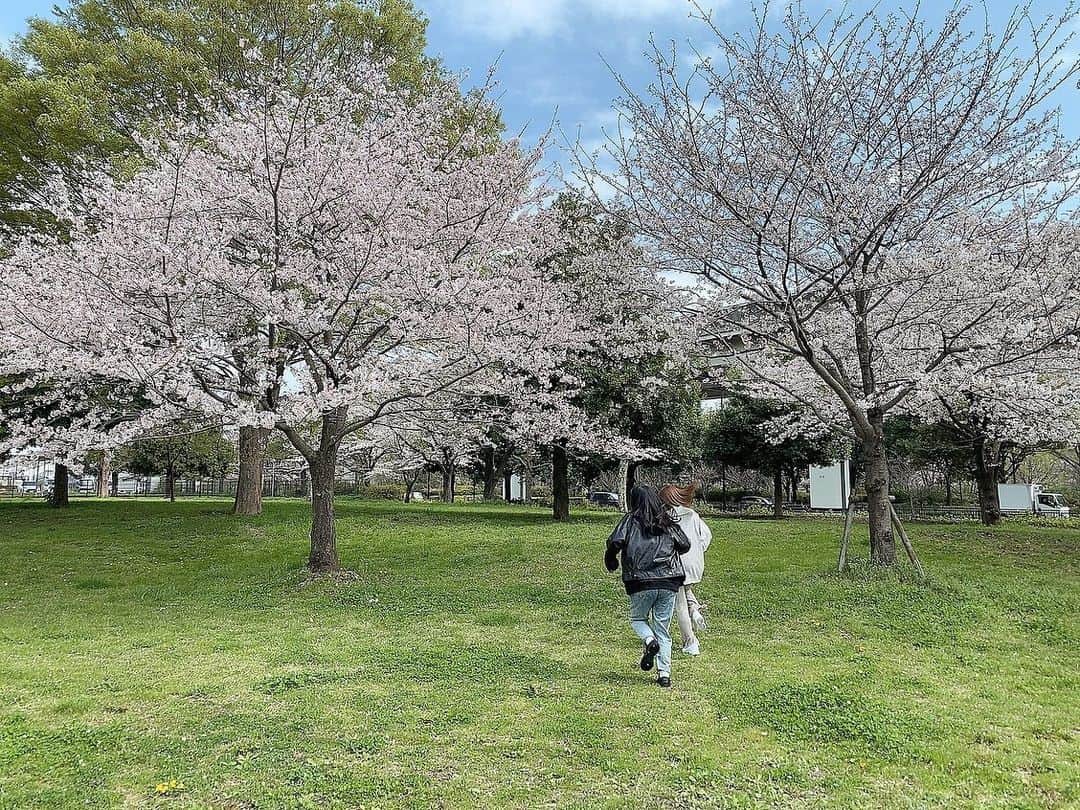 長江里加さんのインスタグラム写真 - (長江里加Instagram)「お花見〜🌸ﾗｽﾄ 追いかけられて桜の木の周りをぐるぐるした🤣🤣」4月5日 11時23分 - o_rikachi_o