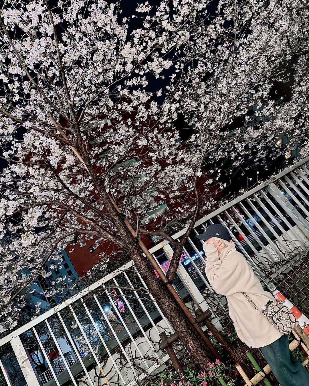 天満のどか & 愛野ユキのインスタグラム：「日本帰ってきたら桜散ってて寂しい 4月のんびりやっていこうね🌸」