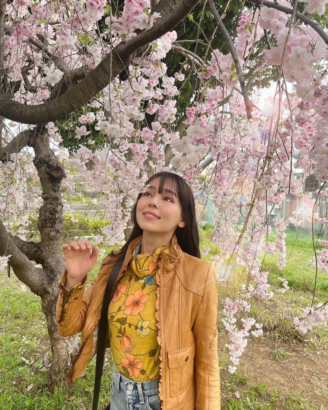 世良マリカさんのインスタグラム写真 - (世良マリカInstagram)「滑り込み🌸 皆んなはいつもどこでお花見するのー！教えて🌷  #桜 #春 #sakura #japan #cherryblossom #good_portraits_world」4月5日 21時03分 - seramali_jsmn