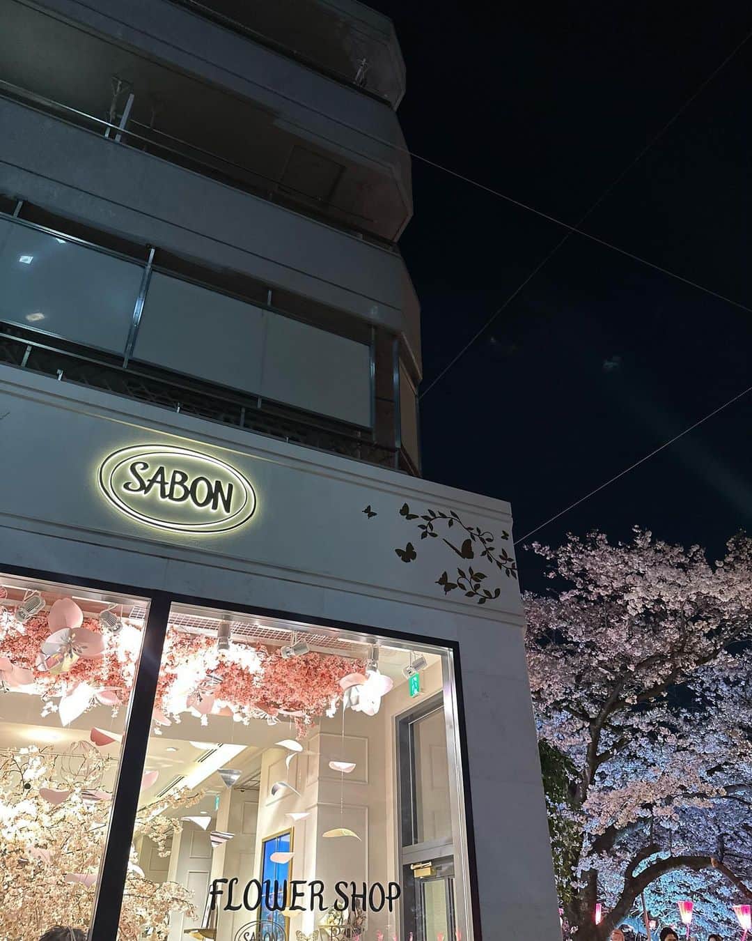 丸山悠美さんのインスタグラム写真 - (丸山悠美Instagram)「@sabon_japan の新コレクション 「ワンダーズ・オブ・ジャスミン コレクション」 幻のお花ブルージャスミンにインスパイアされた リュクスなコレクション💙  先行発売しているアトリエに行ってきました🕊  ウォータースタンドではスクラブをお試し。 SABONのスクラブ、 パチュリ・ラベンダー・バニラを昔から愛用しているけど 格調高いジャスミン・ワンダーの香りが とっても良かった！ 今度からこちらにしようかな☺️🌿  古い角質をやさしく落としてツルツルに✨ 踵もツルツルになるから大好きです💕  リニューアルしたアトリエの1周年イベントでは ピアスを作れたり アトリエで購入して会員登録すると招待制パーティーに招待して貰えるそう✨  #sabon #サボン #sabonジャスミンワンダー #sabon2つのジャスミン#サボンアトリエスパ #中目黒 #ジャスミン #バスタイム #ボディケア #ボディスクラブ」4月5日 20時57分 - maruyumi