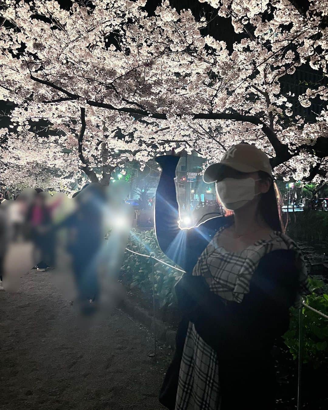 坂本りののインスタグラム：「・ このあいだはじめて夜桜をみにいきました〜🌸」