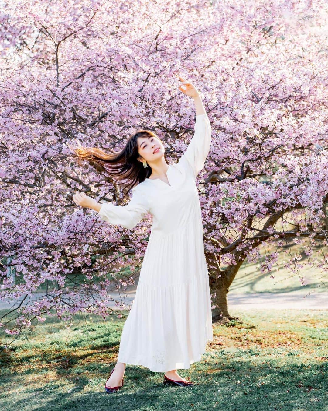 shabonのインスタグラム：「* . . . . . お久しぶりの明石海峡公園には ソメイヨシノ以外の 桜も咲いていました🌸 こずえさんが花の精のように 美しかった🥹🧚‍♀️ . そう言えば昔夢中で撮ってた アネモネが見当たらなかった気が！？😳 無くなったんでしょうか！？🤔笑 . . model : @kozuekawabe  . . FUJIFILM X-T5 /  XF50-140mm F2.8 R LM OIS WR . . お仕事・撮影のご依頼はDMかメールに お願い致します。 . . . . . . *」