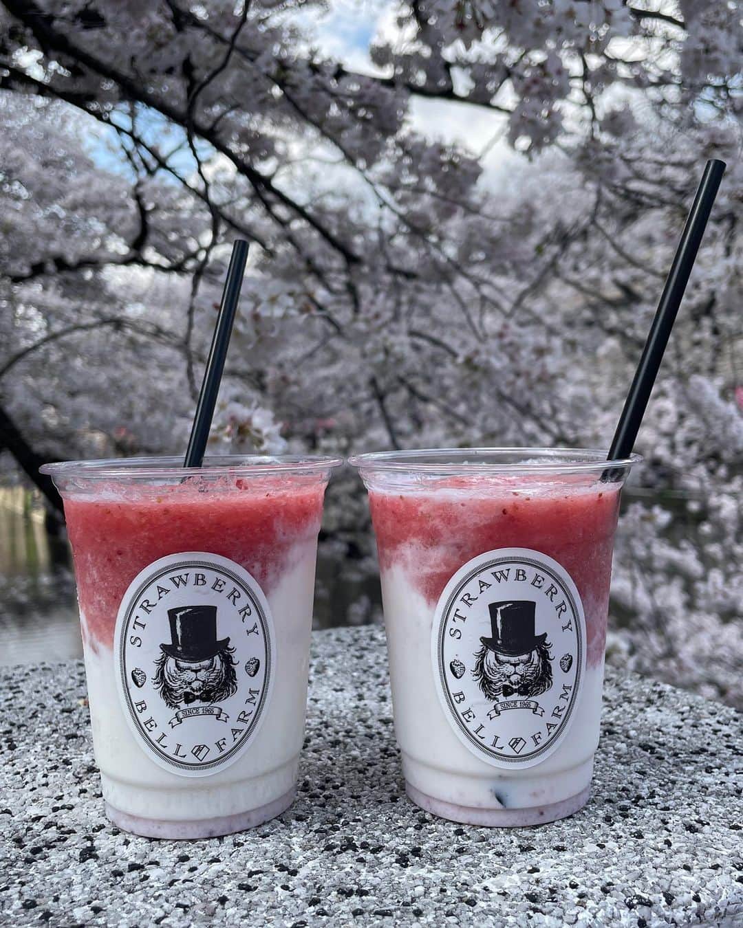 坂東遥さんのインスタグラム写真 - (坂東遥Instagram)「🌸🍡🫖  お花見コーデです🩰🥣  今年はいろんな場所で 大好きな桜を見れて 幸せでございます☺︎🌸」4月5日 21時02分 - b.haruka1103