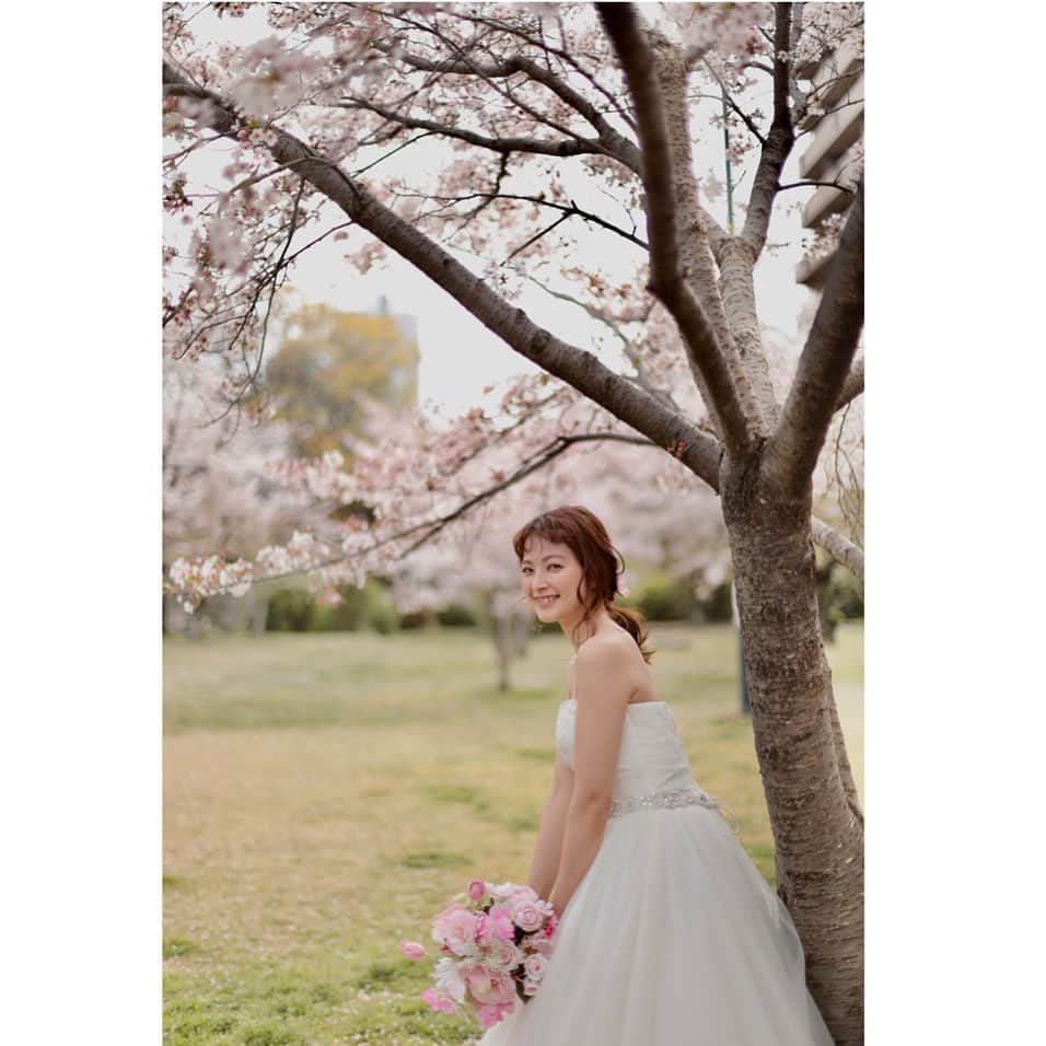 大進ウェディングのインスタグラム：「. . 🌸🌸🌸 . . 桜×dress . . #桜  #桜フォト   ୨୧┈┈┈┈┈┈┈┈┈┈┈┈୨୧┈┈┈┈┈┈┈┈┈┈┈┈୨୧  4/30まで春フォトキャンペーン開催中* 詳しくは @daishin.sosha_wedding  ↑ プロフィールtopのリンクをtap! . お問い合わせはDMでも受け付けております お気軽にお問合せくださいませ♡*」