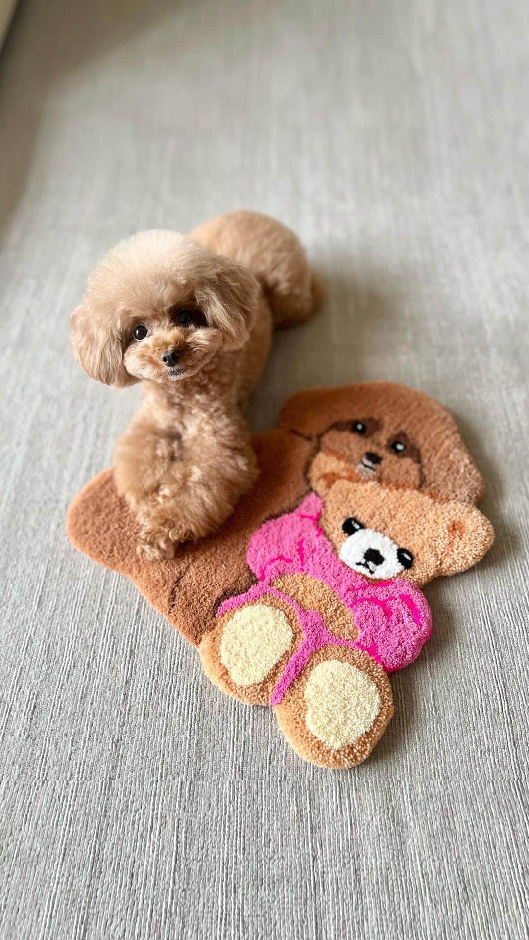 ショコラ❤︎あずき❤︎パンナのインスタグラム：「. みてみて❗️渡した写真から私のラグマットが完成したよ！ 海外のタフティングデザイナーさんが作成してくれたの☺️✨✨  うちの子タフティングラグマット、 @pannahouse_official でもうすぐ販売開始だって✨✨  #トイプードル #プードル #犬 #ペット #犬のいる暮らし #toypoodle #poodle #dog #instadog #cutedog #あずしょこぱん #パンナ#うちの子タフティングラグ」