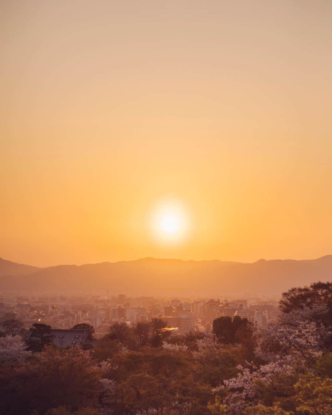のインスタグラム：「From Hondo | 本堂より　夕日」