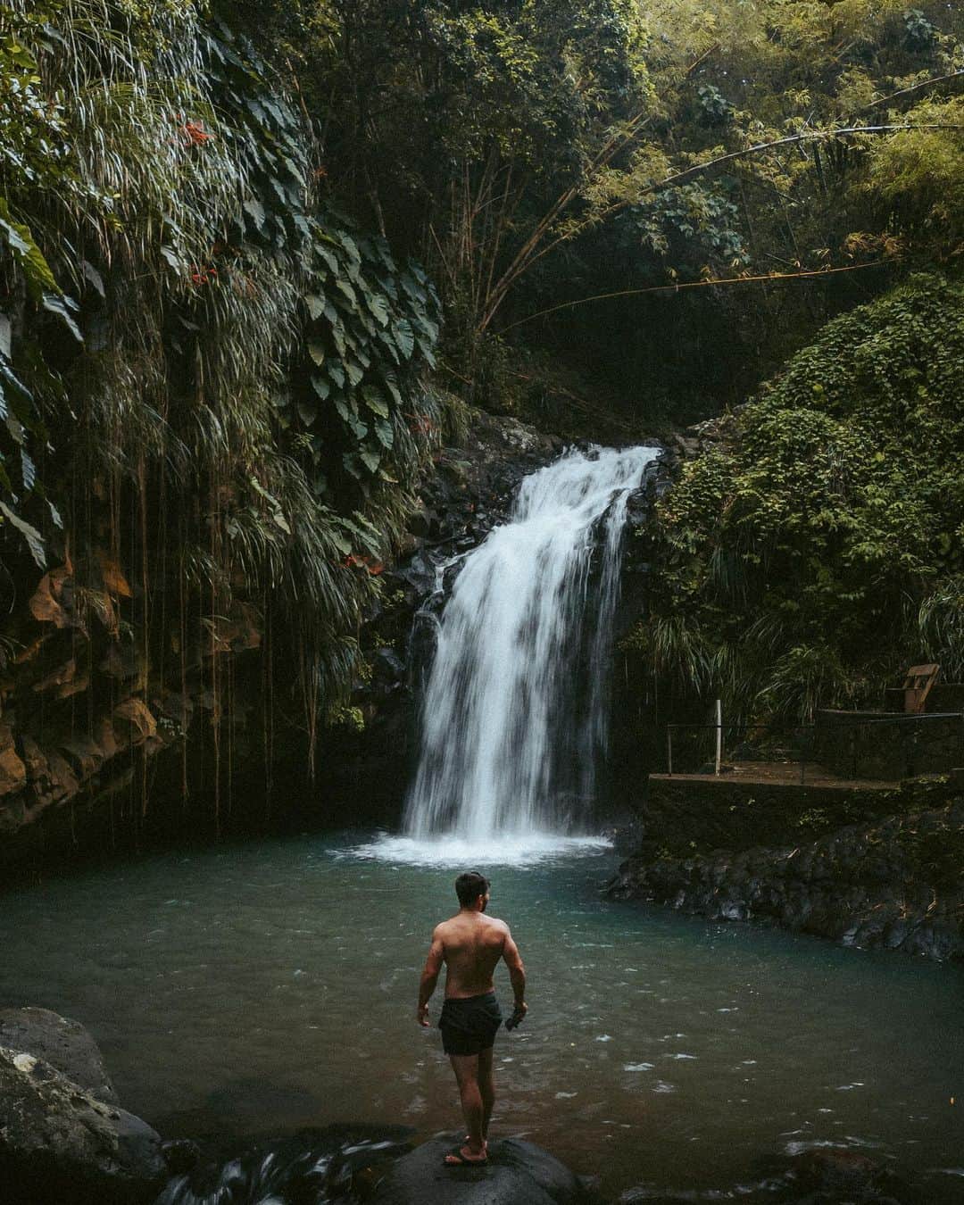 Canon Photographyのインスタグラム：「Reasons to visit Grenada 🇬🇩 👇   Grenada is known as the “Spice Isle” of the Caribbean 🏝️   Here are some of the top reasons to plan a trip to this stunning island 🍃   • Incredible natural beauty, including rainforests, beaches, and crystal clear waters.  • Unique and delicious cuisine that blends African, Caribbean, and European influences.  • Rich history and culture, with a fascinating past as a major centre of the spice trade.  • Warm and friendly people, who are proud of their island nation. • Known for its high quality cocoa, which is used to produce some of the finest chocolate in the world 🍫🤤  Photography by @rupertporpora   @puregrenada  . . . . . #puregrenada #grenada #caribbean #tropical #rainforest #rainforests #caribbeanfood #islandparadise #paradise #tropicalplants #discovergrenada #caribbeanlife #earth」