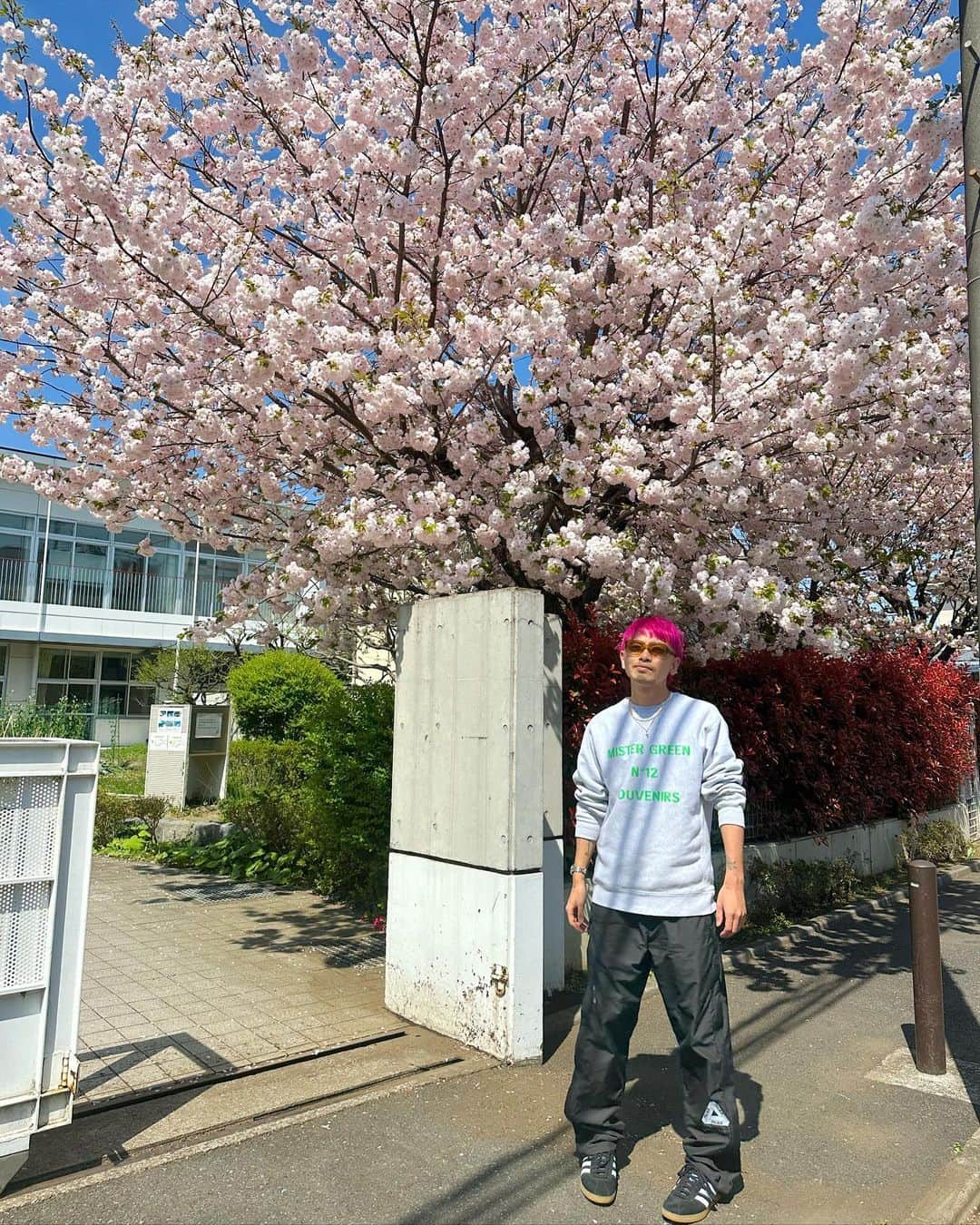 のインスタグラム：「2023.4.5 🌸 日本の桜って、 毎年みてるけど、本当に綺麗で日本人で良かったなぁ…って思いますよね🇯🇵✨ ✴︎ 休みの１日は、朝からEnglish lessonしたり、昼間はマレアモのお散歩したり、夜はセミナーを受講したり、、 １日経つのは本当はやいですね😂笑 気づいたら今月終わっちゃいそうなので、１日１日濃密に過ごさなきゃ🔥 ✴︎ 最近ご新規でwhyteに来て下さる方が多くて嬉しいです！✨ 自分自身も、whyteとしても、日々アップデートしてお客様の事を迎える準備をしています💛皆様にお会いするのを楽しみにwhyteでお待ちしております☺️✂️  #アモのお散歩トレーニング  #後ろからマレがるんるんでついてくるのカワイイ笑 #最後の大谷翔平の言葉が響く」