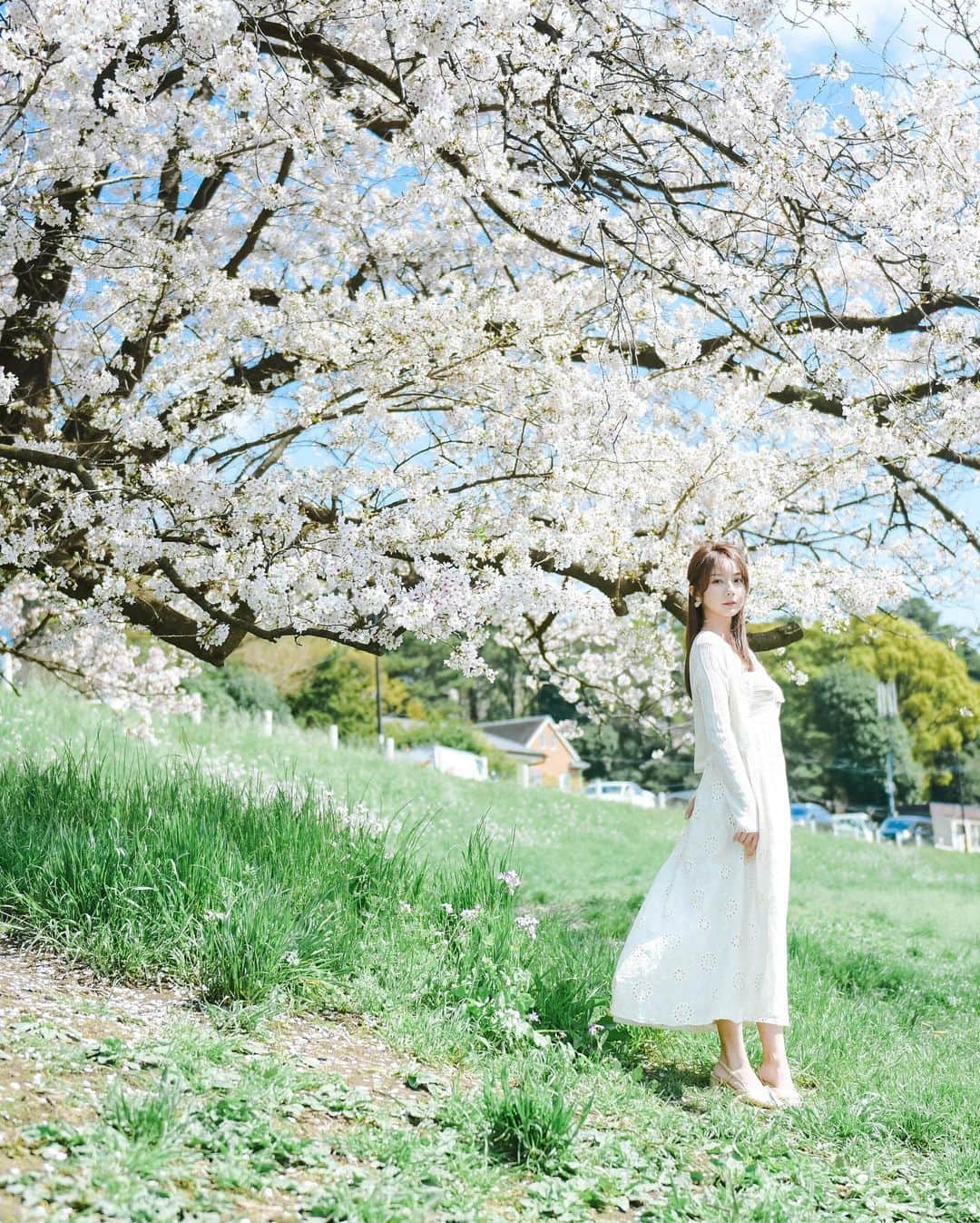 王依君さんのインスタグラム写真 - (王依君Instagram)「🌸 #桜」4月5日 21時30分 - sandystrawberry_