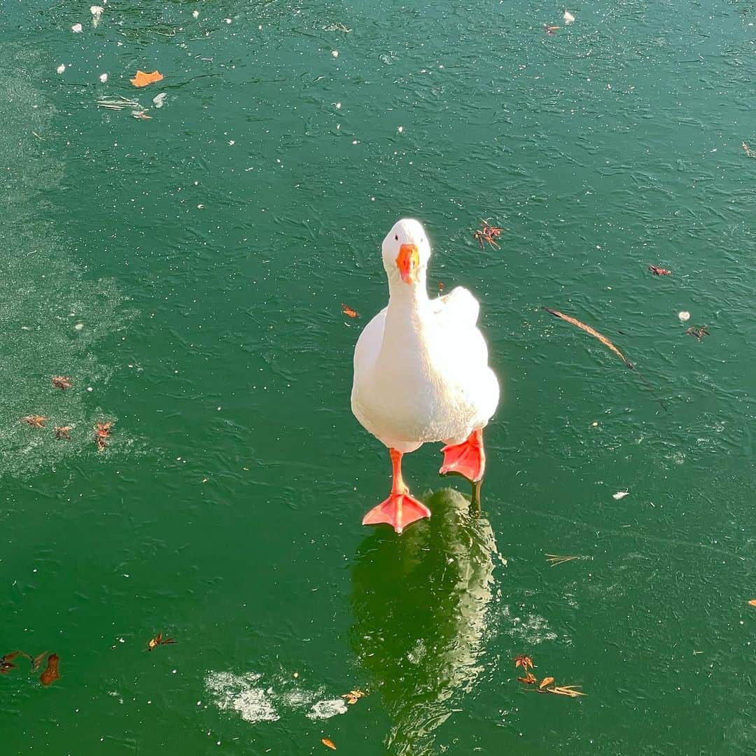 キム・ユネのインスタグラム：「❄️🫶🏻겨울 🫶🏻❄️」
