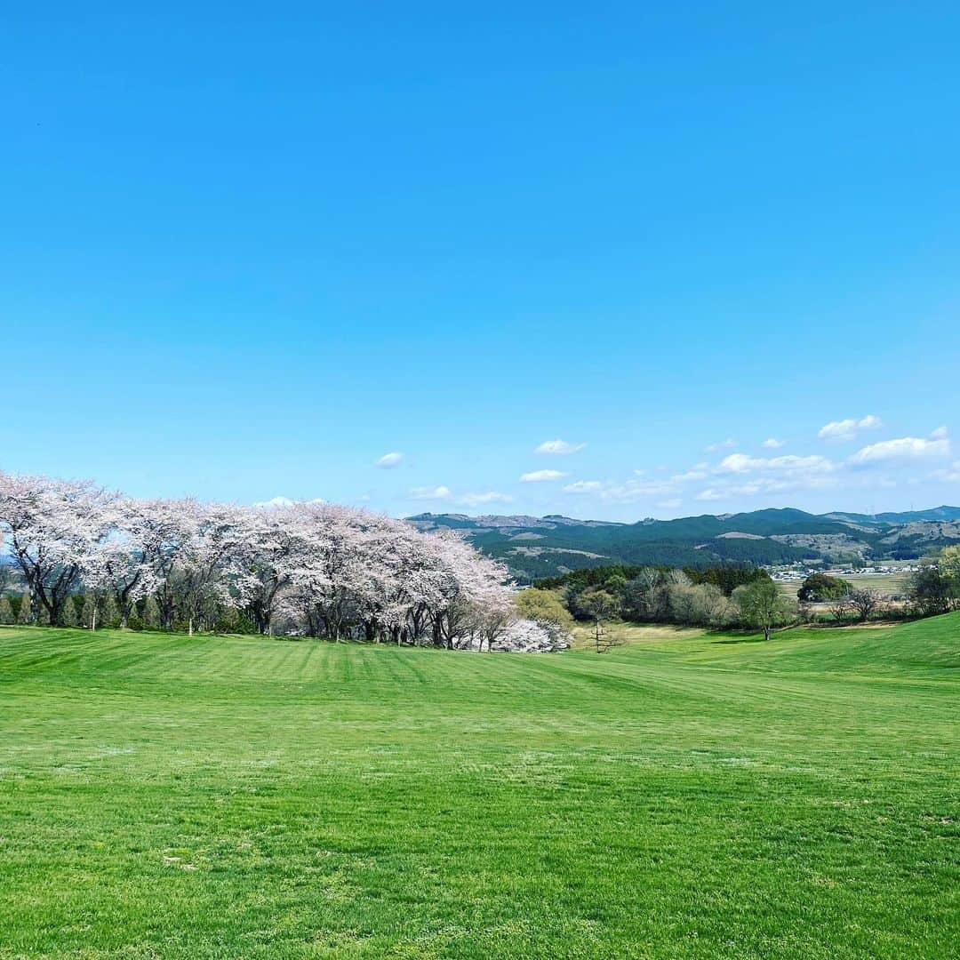 瀬戸サオリのインスタグラム：「大好きな場所…🐴🌸  那須ファームヴィレッジ⛰ 桜の時期に 必ず来たいと思ってて 念願叶って…🌙🥕🐴🫧🌸  ほんっとに桜が圧巻で トラクターツアーで堪能して 乗馬して…😮‍💨 最高すぎました🤍  結婚10周年位の記念の時は ウェディングの撮影を 絶対ファームでしたいな〜🤍  #那須ファームヴィレッジ」