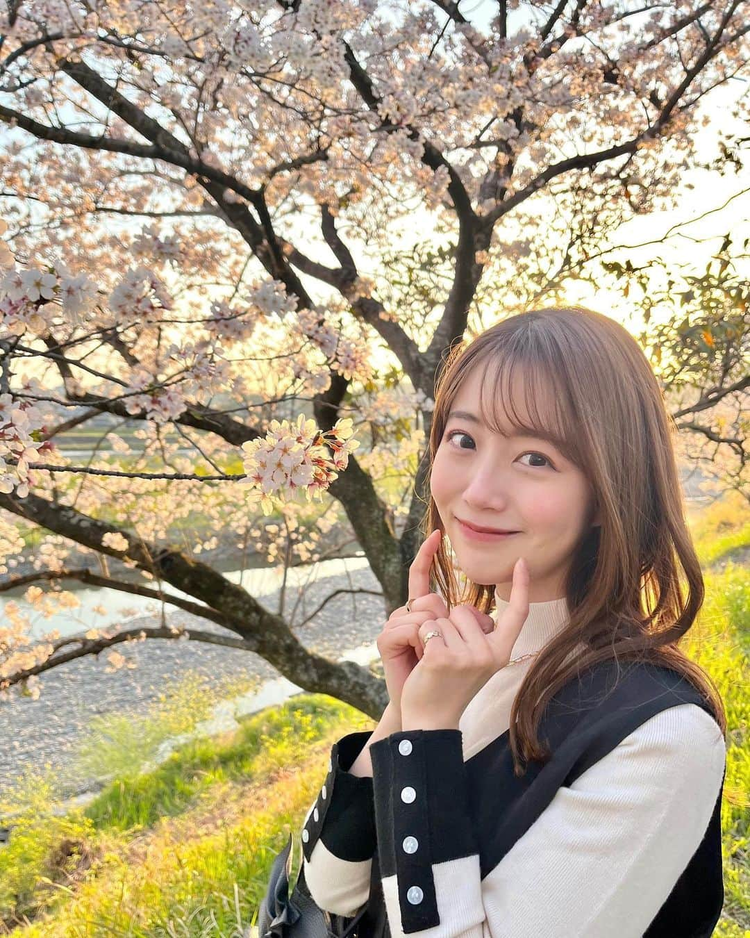 澤井志帆のインスタグラム：「.2023.4.5 ⁡ やっとお花見できました！ お花で春を感じますね〜🌸 ⁡ この春入社5年目になりました。 2023年度もよろしくお願いします🤲🏻🤍 ⁡ #DaiichiTV#アナウンサー#静岡#静岡観光#藤枝#藤枝市」