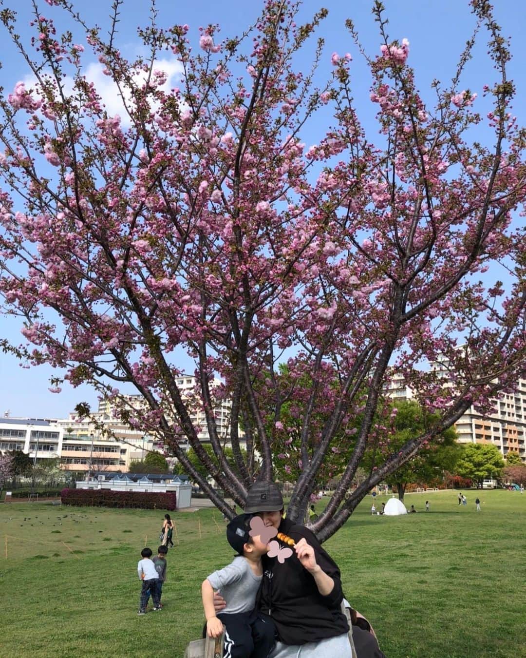 高橋みゆきさんのインスタグラム写真 - (高橋みゆきInstagram)「今年はたくさんお花見🌸できた🍡」4月5日 21時39分 - shin_miyukichi