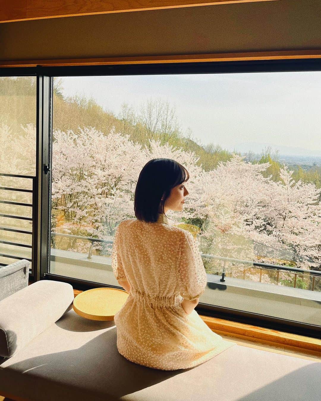 礒部花凜さんのインスタグラム写真 - (礒部花凜Instagram)「.  もう4月だね〜〜〜  今年は少しばかり奈良に帰って 家族の桜を堪能してきました🌸  桜の華麗さを遠くから眺めるのも、 近くで可愛さを愛でるのも、どちらも本当好き。  . #桜 #sakura #日本 #japan」4月5日 21時35分 - caririn.official
