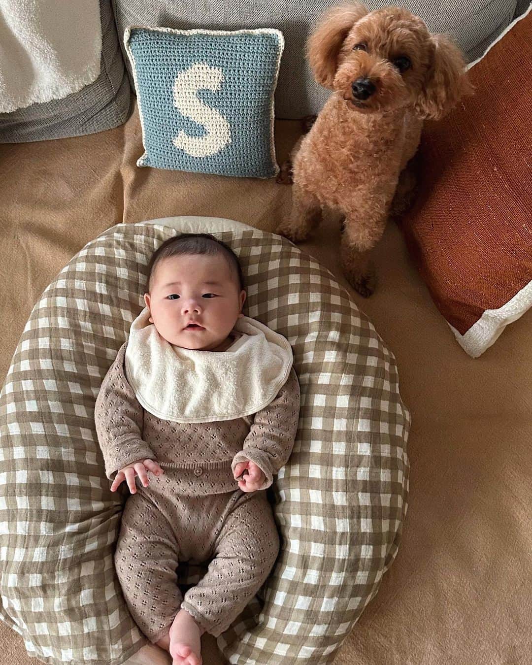 岩渕加恵さんのインスタグラム写真 - (岩渕加恵Instagram)「🫶🏻 5 m o n t h 🫶🏻 翠たまの4ヶ月目のキロク〜👶🏻🌷  今日の朝ベットで初めて一人で寝返りをした娘😳 びっくりしすぎて一瞬止まった💓笑 また一つ大きく成長できたね👏🏻👏🏻👏🏻 （嬉しすぎて泣ける🥹🥹  今月はどんな成長が待ってるのかワクワクだよ🤭✨  5ヶ月目もいっぱい笑おうね〜🌈💓🌈  #翠たまの成長記録 ♡ #5month #愛おぴさが止まらないっ♡」4月5日 21時44分 - kae0113
