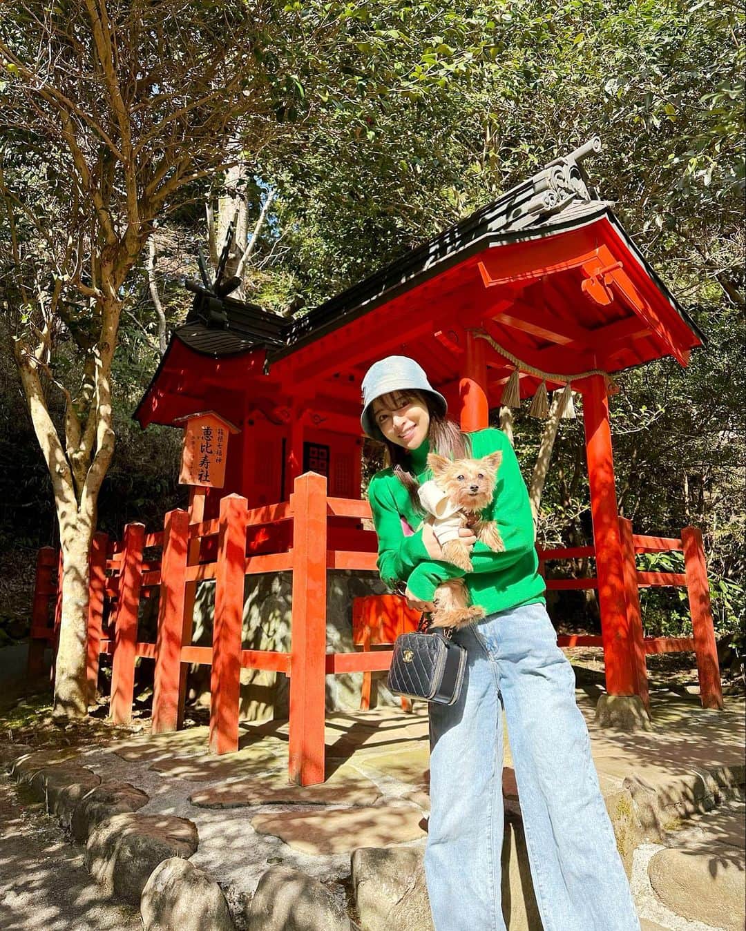 ririのインスタグラム：「今年は箱根神社⛩に 初めてリボン🎀と行って🐕‍🦺 #夫婦円満　🫶と りぼんが長生きしますように🤲😌って祈りました💫☺️💓  4/25🎂で15歳になっちゃうょ〜🐶🐶🐶  今年もたくさん思い出作るよ💪😆  #love #dog #family  #yorkie  #ヨークシャテリア #箱根神社」