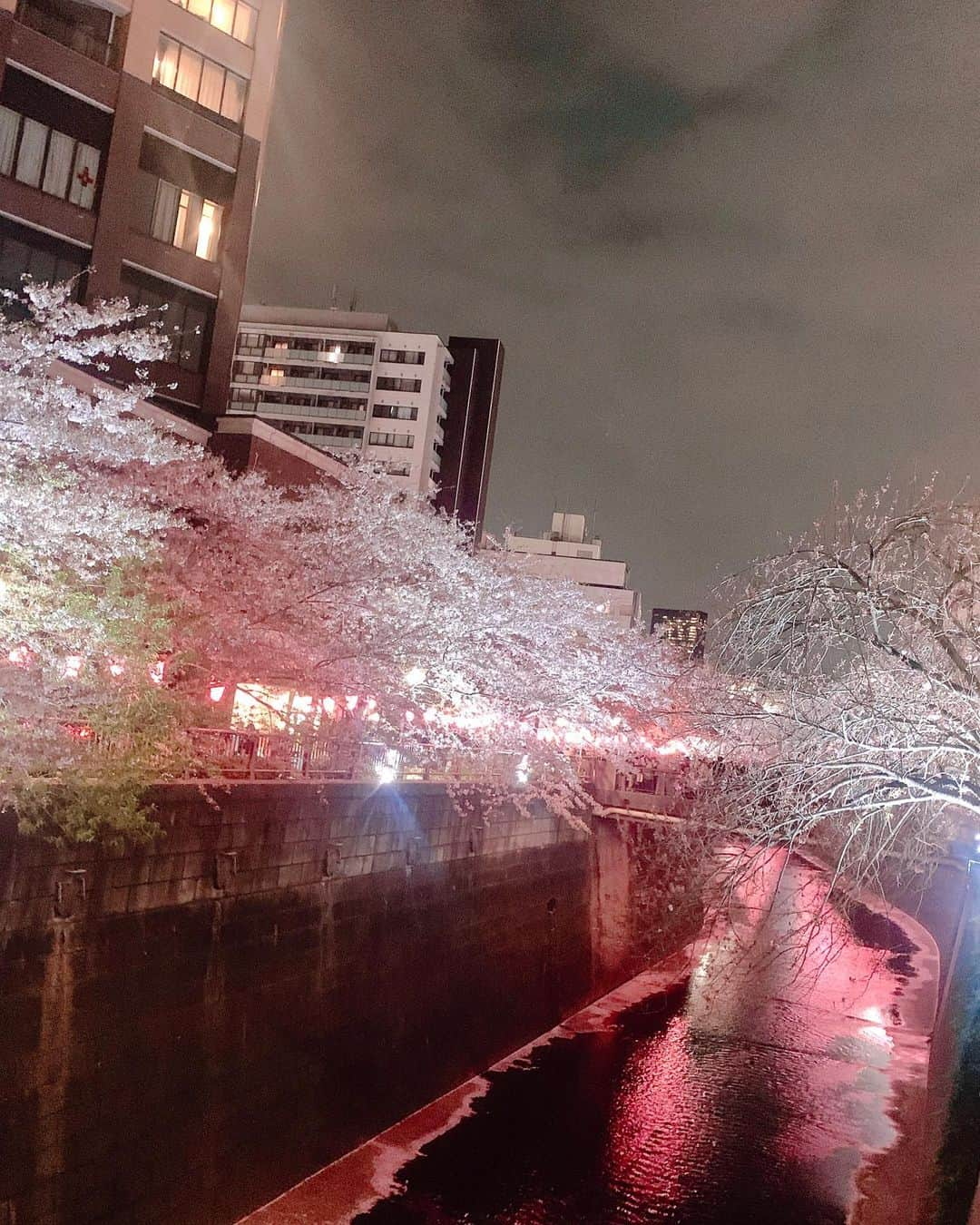 山根かずみさんのインスタグラム写真 - (山根かずみInstagram)「中目黒？のお花見🌸💖 最後枝ばっか撮ってたらライトアップ消えました🤦🏻‍♀️💕   #お花見🌸  #中目黒  #お花見スポット  #神泉  #渋谷  #焼肉  #すき焼き  #pink  #🎀💕」4月5日 13時35分 - hon_landid