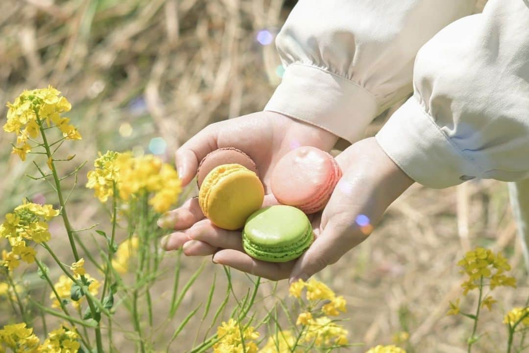 東京カメラガールズさんのインスタグラム写真 - (東京カメラガールズInstagram)「3/12(日) サポーターズメンバー @urara405 さん企画のイベント『一足お先に♪桜撮影会』が埼玉県で開催されました。  久喜市の青毛堀川近くをゆるりと散歩しながら、河津桜の撮影を楽しんだようです🌸 @urara405 さんおすすめの河津桜と菜の花のコラボスポットも巡ったり、 マカロンやカメラなど可愛い小物を使っての撮影もとっても楽しそう！ 皆で撮影すると色々なアイデアが生まれて撮影がさらに楽しくなりますね。  「皆さんそれぞれ撮影に使いたい小道具を持ってきてくれて、面白い写真が撮れたと思います✨」 「素敵な撮影スポットを教えてもらえて嬉しかったです。1人では訪れることが出来なかったので、貴重な機会をありがとうございました✨」 と嬉しい声が沢山届いています。  サポーターズイベントではメンバーが企画を一から全て考えています🎵  全国各地で沢山のイベントを企画中！ ぜひプロフィール欄のカメラガールズ公式WEBサイトからぜひチェックしてみてくださいね😊  初めての方も大歓迎✨ ご参加お待ちしております📷💕  ///////////////////////////////////////////  現在12,000人のカメラ女子が 活動しているカメラガールズ。 ”一緒に参加して楽しめる” そんなコミュニティメディアです。  ▼ご興味があれば camell(カメル)WEBサイトから無料登録をお願いします😊  #カメル #camell #camelltown #カメラ女子 #ファインダー越しの私の世界 #カメル会報誌 #サポーターズレポート #埼玉 #青毛堀川 #河津桜 #菜の花」4月5日 14時45分 - tokyocameragirls