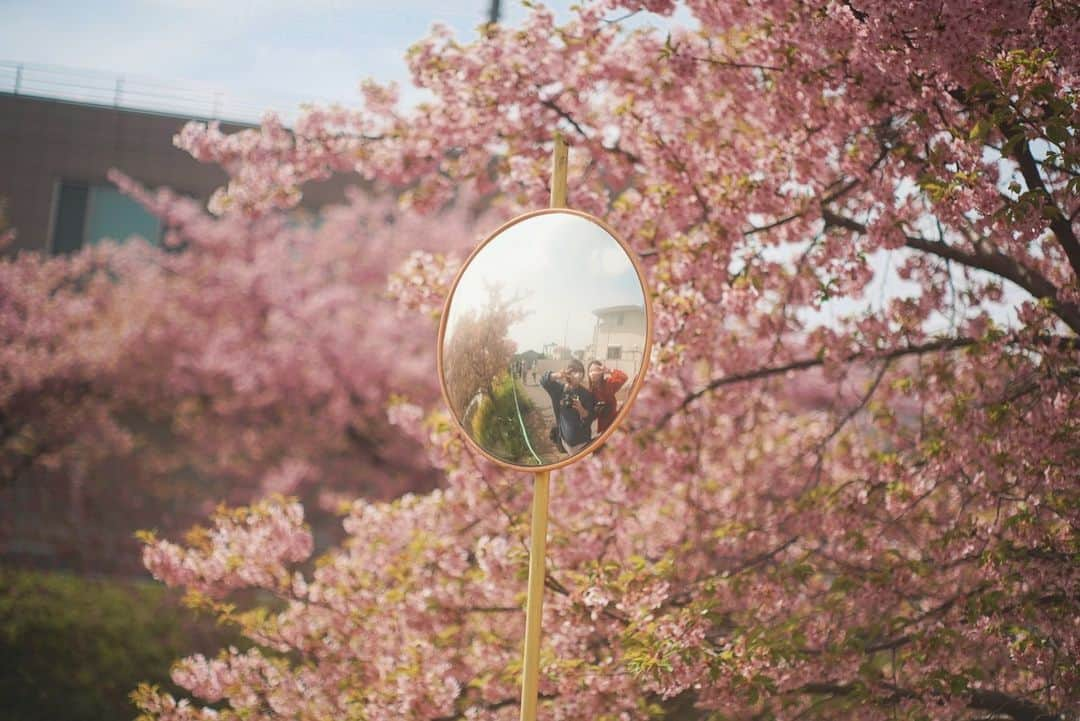 東京カメラガールズさんのインスタグラム写真 - (東京カメラガールズInstagram)「3/12(日) サポーターズメンバー @urara405 さん企画のイベント『一足お先に♪桜撮影会』が埼玉県で開催されました。  久喜市の青毛堀川近くをゆるりと散歩しながら、河津桜の撮影を楽しんだようです🌸 @urara405 さんおすすめの河津桜と菜の花のコラボスポットも巡ったり、 マカロンやカメラなど可愛い小物を使っての撮影もとっても楽しそう！ 皆で撮影すると色々なアイデアが生まれて撮影がさらに楽しくなりますね。  「皆さんそれぞれ撮影に使いたい小道具を持ってきてくれて、面白い写真が撮れたと思います✨」 「素敵な撮影スポットを教えてもらえて嬉しかったです。1人では訪れることが出来なかったので、貴重な機会をありがとうございました✨」 と嬉しい声が沢山届いています。  サポーターズイベントではメンバーが企画を一から全て考えています🎵  全国各地で沢山のイベントを企画中！ ぜひプロフィール欄のカメラガールズ公式WEBサイトからぜひチェックしてみてくださいね😊  初めての方も大歓迎✨ ご参加お待ちしております📷💕  ///////////////////////////////////////////  現在12,000人のカメラ女子が 活動しているカメラガールズ。 ”一緒に参加して楽しめる” そんなコミュニティメディアです。  ▼ご興味があれば camell(カメル)WEBサイトから無料登録をお願いします😊  #カメル #camell #camelltown #カメラ女子 #ファインダー越しの私の世界 #カメル会報誌 #サポーターズレポート #埼玉 #青毛堀川 #河津桜 #菜の花」4月5日 14時45分 - tokyocameragirls