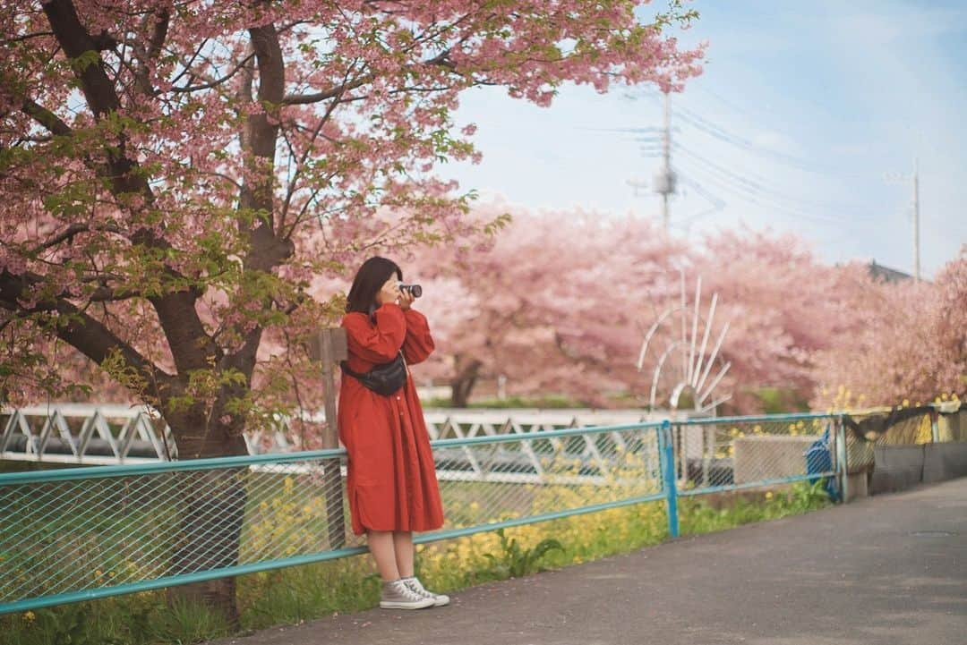 東京カメラガールズさんのインスタグラム写真 - (東京カメラガールズInstagram)「3/12(日) サポーターズメンバー @urara405 さん企画のイベント『一足お先に♪桜撮影会』が埼玉県で開催されました。  久喜市の青毛堀川近くをゆるりと散歩しながら、河津桜の撮影を楽しんだようです🌸 @urara405 さんおすすめの河津桜と菜の花のコラボスポットも巡ったり、 マカロンやカメラなど可愛い小物を使っての撮影もとっても楽しそう！ 皆で撮影すると色々なアイデアが生まれて撮影がさらに楽しくなりますね。  「皆さんそれぞれ撮影に使いたい小道具を持ってきてくれて、面白い写真が撮れたと思います✨」 「素敵な撮影スポットを教えてもらえて嬉しかったです。1人では訪れることが出来なかったので、貴重な機会をありがとうございました✨」 と嬉しい声が沢山届いています。  サポーターズイベントではメンバーが企画を一から全て考えています🎵  全国各地で沢山のイベントを企画中！ ぜひプロフィール欄のカメラガールズ公式WEBサイトからぜひチェックしてみてくださいね😊  初めての方も大歓迎✨ ご参加お待ちしております📷💕  ///////////////////////////////////////////  現在12,000人のカメラ女子が 活動しているカメラガールズ。 ”一緒に参加して楽しめる” そんなコミュニティメディアです。  ▼ご興味があれば camell(カメル)WEBサイトから無料登録をお願いします😊  #カメル #camell #camelltown #カメラ女子 #ファインダー越しの私の世界 #カメル会報誌 #サポーターズレポート #埼玉 #青毛堀川 #河津桜 #菜の花」4月5日 14時45分 - tokyocameragirls