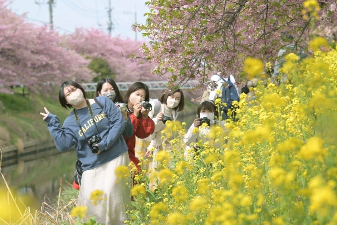 東京カメラガールズさんのインスタグラム写真 - (東京カメラガールズInstagram)「3/12(日) サポーターズメンバー @urara405 さん企画のイベント『一足お先に♪桜撮影会』が埼玉県で開催されました。  久喜市の青毛堀川近くをゆるりと散歩しながら、河津桜の撮影を楽しんだようです🌸 @urara405 さんおすすめの河津桜と菜の花のコラボスポットも巡ったり、 マカロンやカメラなど可愛い小物を使っての撮影もとっても楽しそう！ 皆で撮影すると色々なアイデアが生まれて撮影がさらに楽しくなりますね。  「皆さんそれぞれ撮影に使いたい小道具を持ってきてくれて、面白い写真が撮れたと思います✨」 「素敵な撮影スポットを教えてもらえて嬉しかったです。1人では訪れることが出来なかったので、貴重な機会をありがとうございました✨」 と嬉しい声が沢山届いています。  サポーターズイベントではメンバーが企画を一から全て考えています🎵  全国各地で沢山のイベントを企画中！ ぜひプロフィール欄のカメラガールズ公式WEBサイトからぜひチェックしてみてくださいね😊  初めての方も大歓迎✨ ご参加お待ちしております📷💕  ///////////////////////////////////////////  現在12,000人のカメラ女子が 活動しているカメラガールズ。 ”一緒に参加して楽しめる” そんなコミュニティメディアです。  ▼ご興味があれば camell(カメル)WEBサイトから無料登録をお願いします😊  #カメル #camell #camelltown #カメラ女子 #ファインダー越しの私の世界 #カメル会報誌 #サポーターズレポート #埼玉 #青毛堀川 #河津桜 #菜の花」4月5日 14時45分 - tokyocameragirls