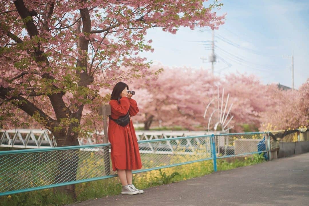 東京カメラガールズのインスタグラム：「3/12(日) サポーターズメンバー @urara405 さん企画のイベント『一足お先に♪桜撮影会』が埼玉県で開催されました。  久喜市の青毛堀川近くをゆるりと散歩しながら、河津桜の撮影を楽しんだようです🌸 @urara405 さんおすすめの河津桜と菜の花のコラボスポットも巡ったり、 マカロンやカメラなど可愛い小物を使っての撮影もとっても楽しそう！ 皆で撮影すると色々なアイデアが生まれて撮影がさらに楽しくなりますね。  「皆さんそれぞれ撮影に使いたい小道具を持ってきてくれて、面白い写真が撮れたと思います✨」 「素敵な撮影スポットを教えてもらえて嬉しかったです。1人では訪れることが出来なかったので、貴重な機会をありがとうございました✨」 と嬉しい声が沢山届いています。  サポーターズイベントではメンバーが企画を一から全て考えています🎵  全国各地で沢山のイベントを企画中！ ぜひプロフィール欄のカメラガールズ公式WEBサイトからぜひチェックしてみてくださいね😊  初めての方も大歓迎✨ ご参加お待ちしております📷💕  ///////////////////////////////////////////  現在12,000人のカメラ女子が 活動しているカメラガールズ。 ”一緒に参加して楽しめる” そんなコミュニティメディアです。  ▼ご興味があれば camell(カメル)WEBサイトから無料登録をお願いします😊  #カメル #camell #camelltown #カメラ女子 #ファインダー越しの私の世界 #カメル会報誌 #サポーターズレポート #埼玉 #青毛堀川 #河津桜 #菜の花」