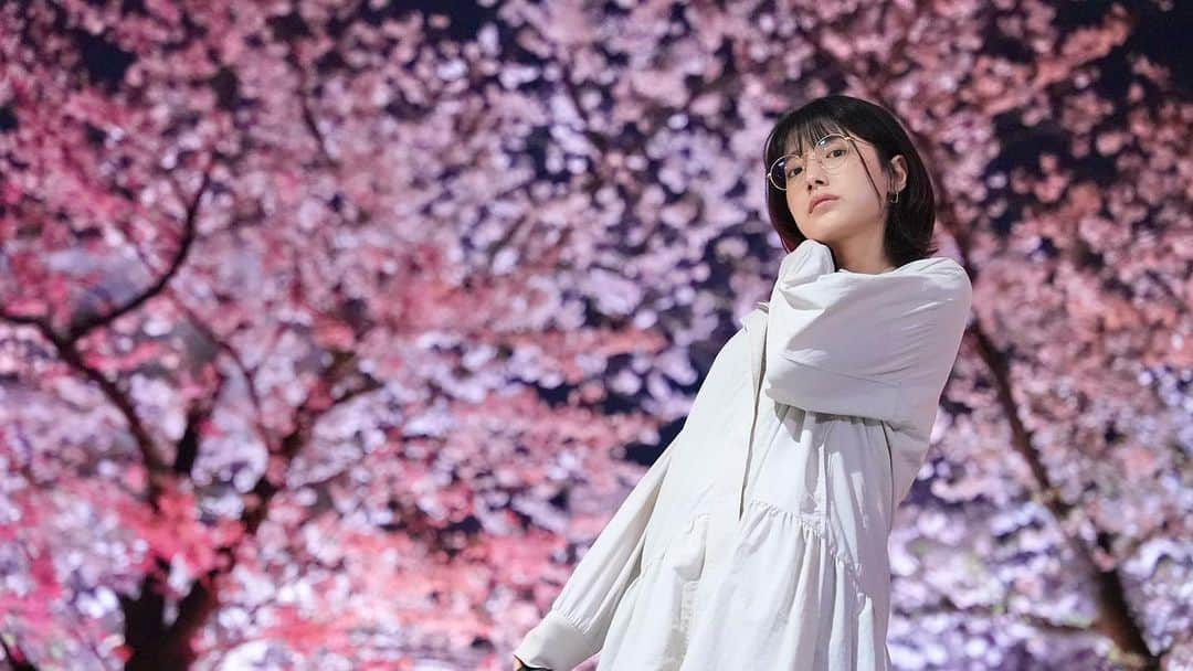 芦原優愛さんのインスタグラム写真 - (芦原優愛Instagram)「. #🌸  #cherryblossom」4月5日 15時13分 - yua_ashihara_official