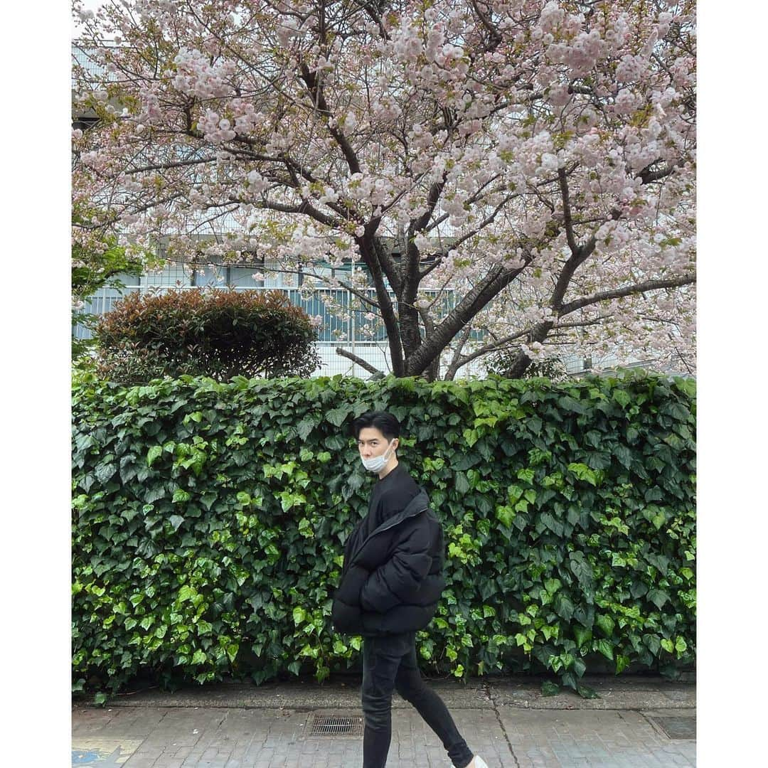 ダンソン・タンさんのインスタグラム写真 - (ダンソン・タンInstagram)「🚶🏻🚶🏻🚶🏻📸📸📸🌤️🌤️🌤️ - #DT #tokyo #唐禹哲」4月5日 15時33分 - dt_0902